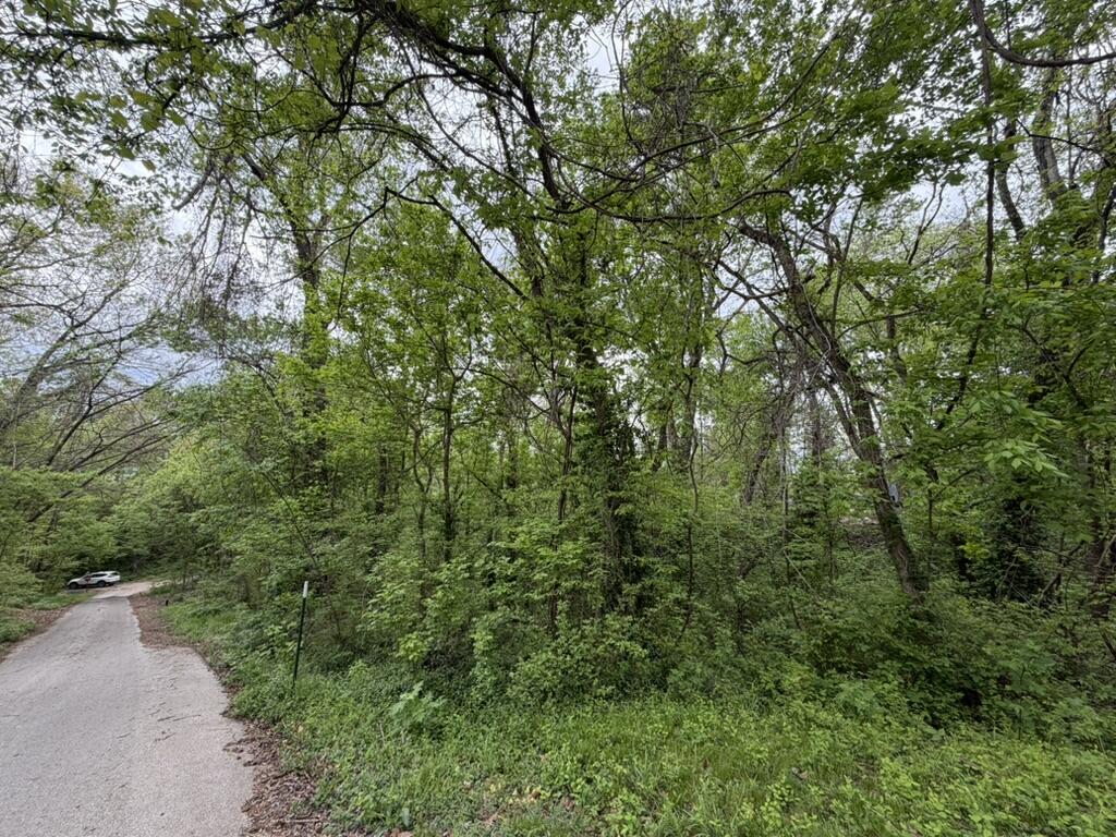 Photo 4 - Land for sale – 000  Eureka Avenue  Seligman, MO