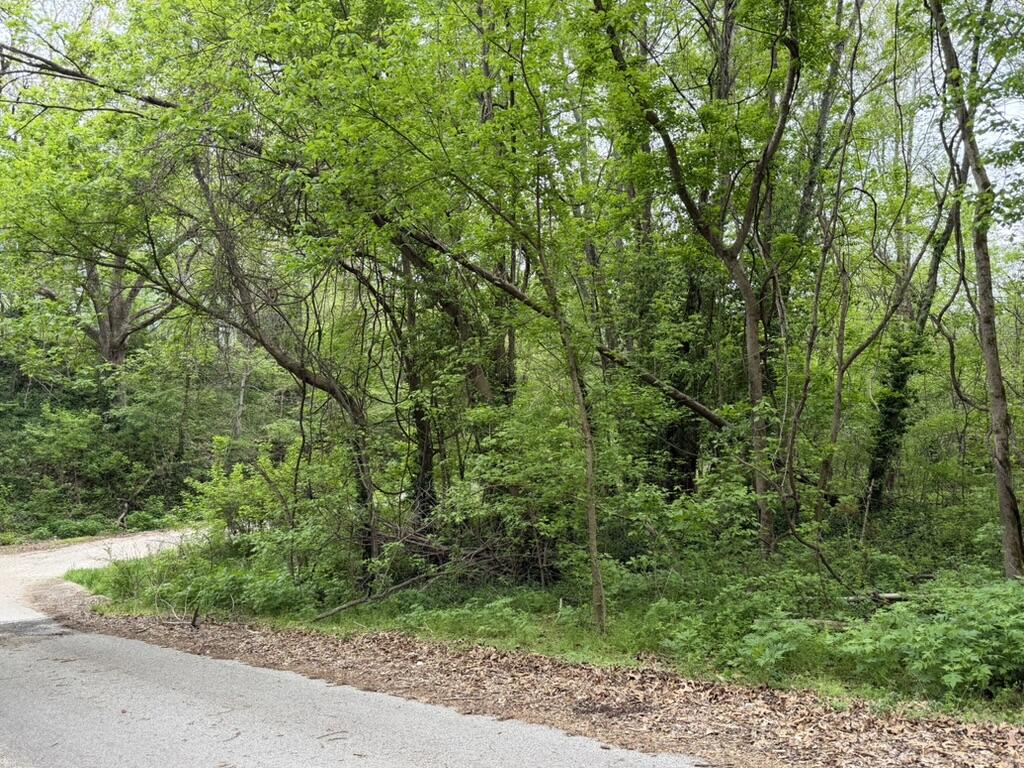 Land for sale – 000  Eureka Avenue  Seligman, MO
