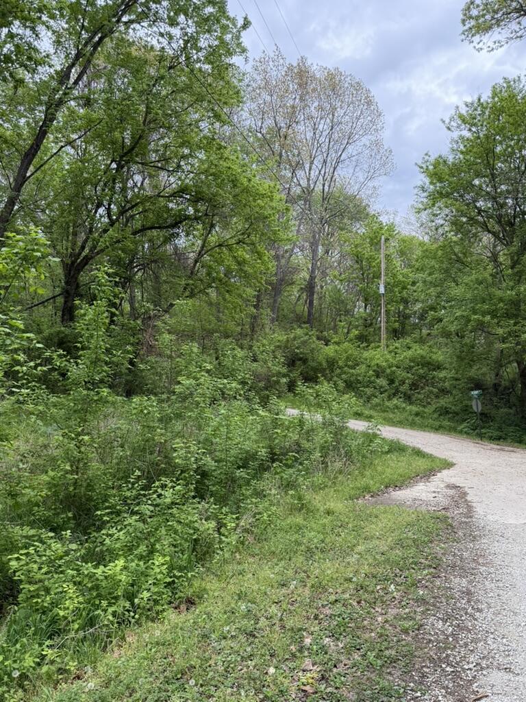 Photo 12 - Land for sale – 000  Eureka Avenue  Seligman, MO
