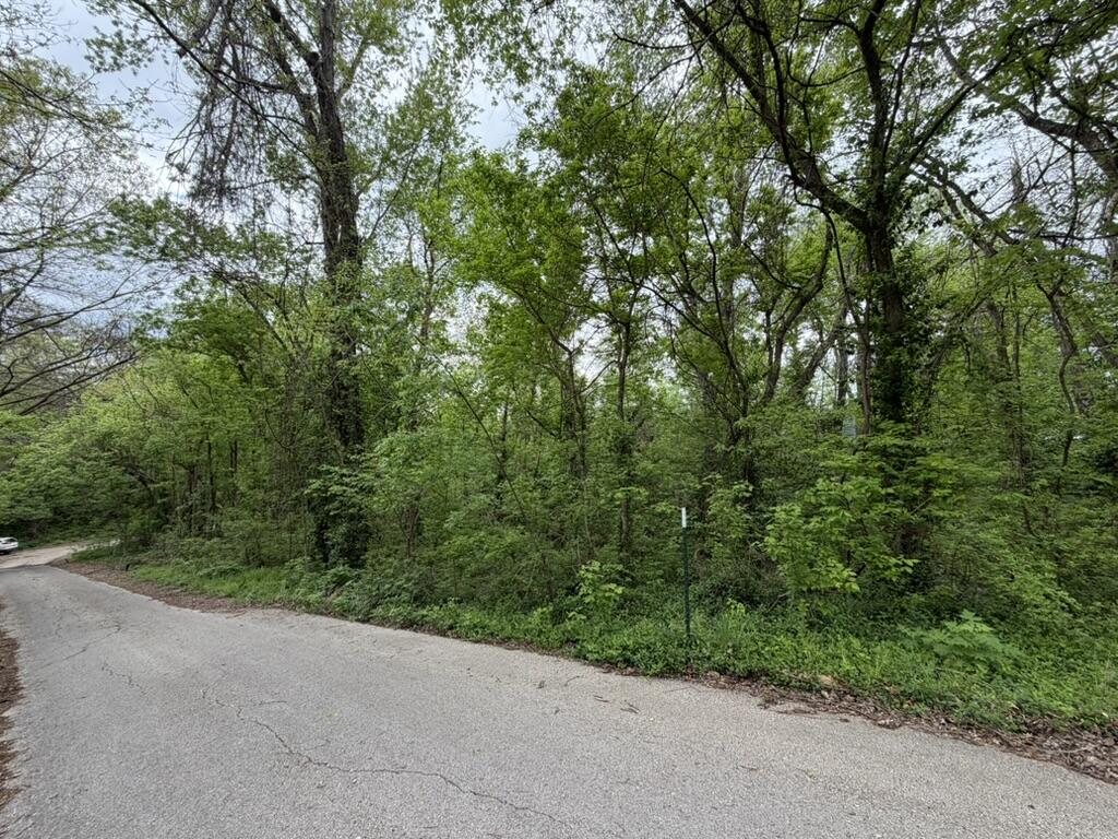 Photo 7 - Land for sale – 000  Eureka Avenue  Seligman, MO