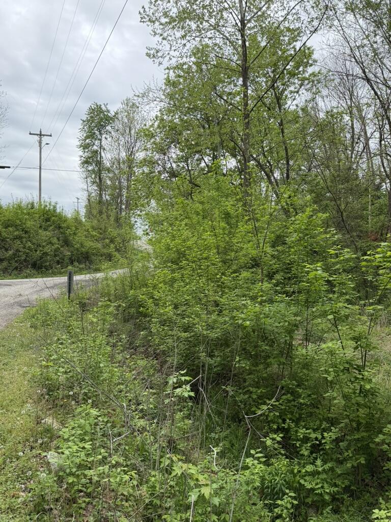 Photo 9 - Land for sale – 000  Eureka Avenue  Seligman, MO