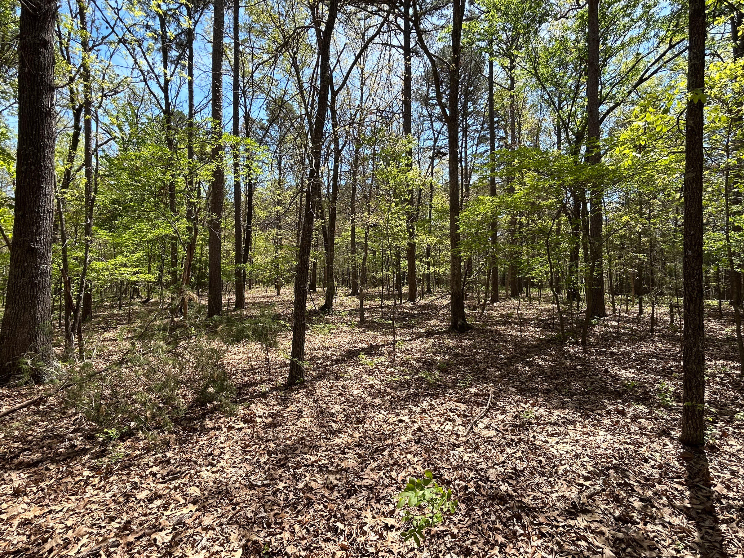 Photo 29 - Residential for sale – 8307  Highway 63   Houston, MO