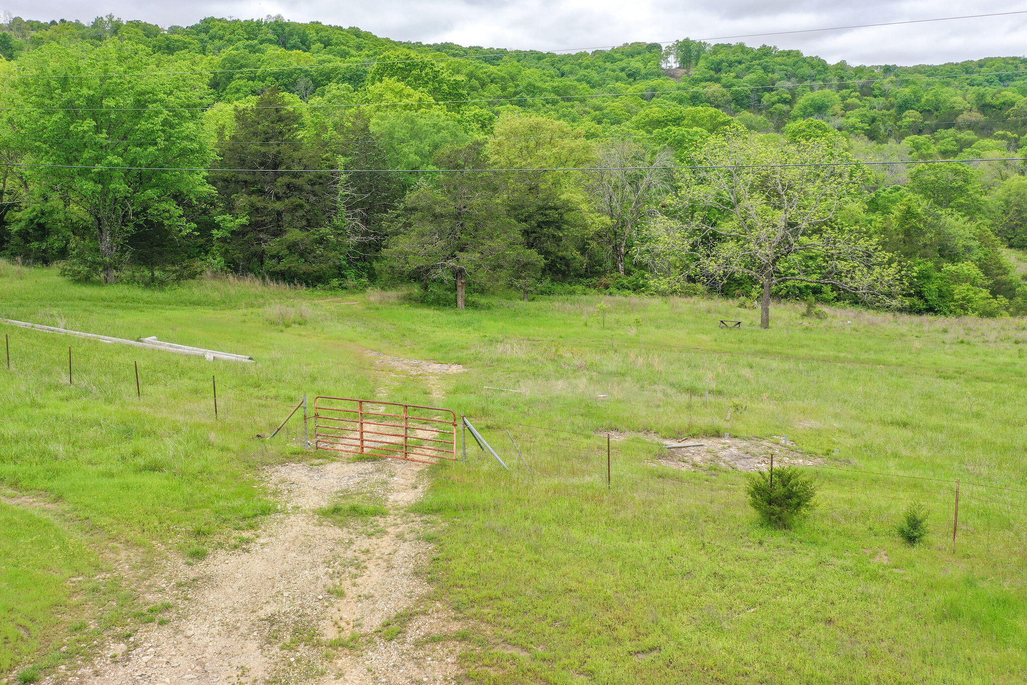 Photo 9 - Land for sale – 1584  Buchanan Road  Branson, MO