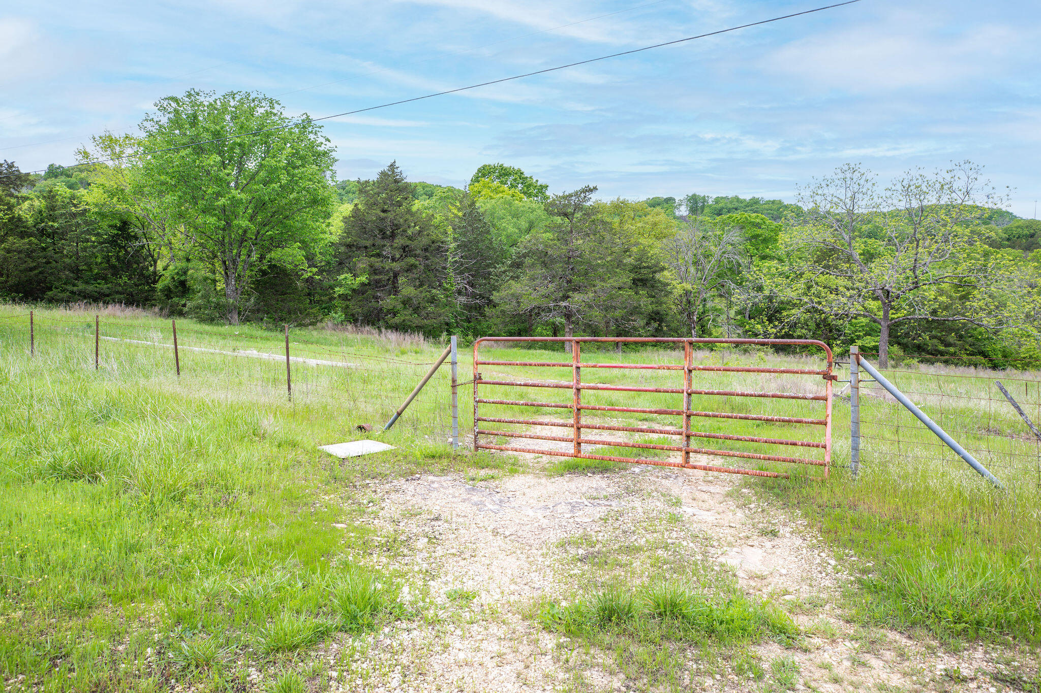 Photo 6 - Land for sale – 1584  Buchanan Road  Branson, MO