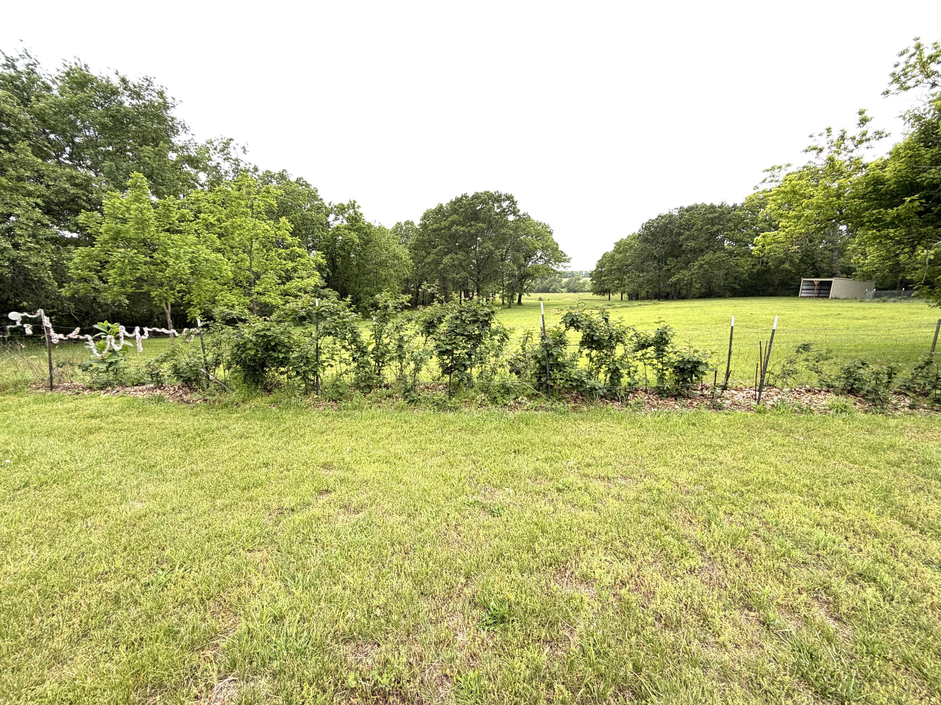Photo 24 - Residential for sale – 2864  Spring Valley Road  Summersville, MO