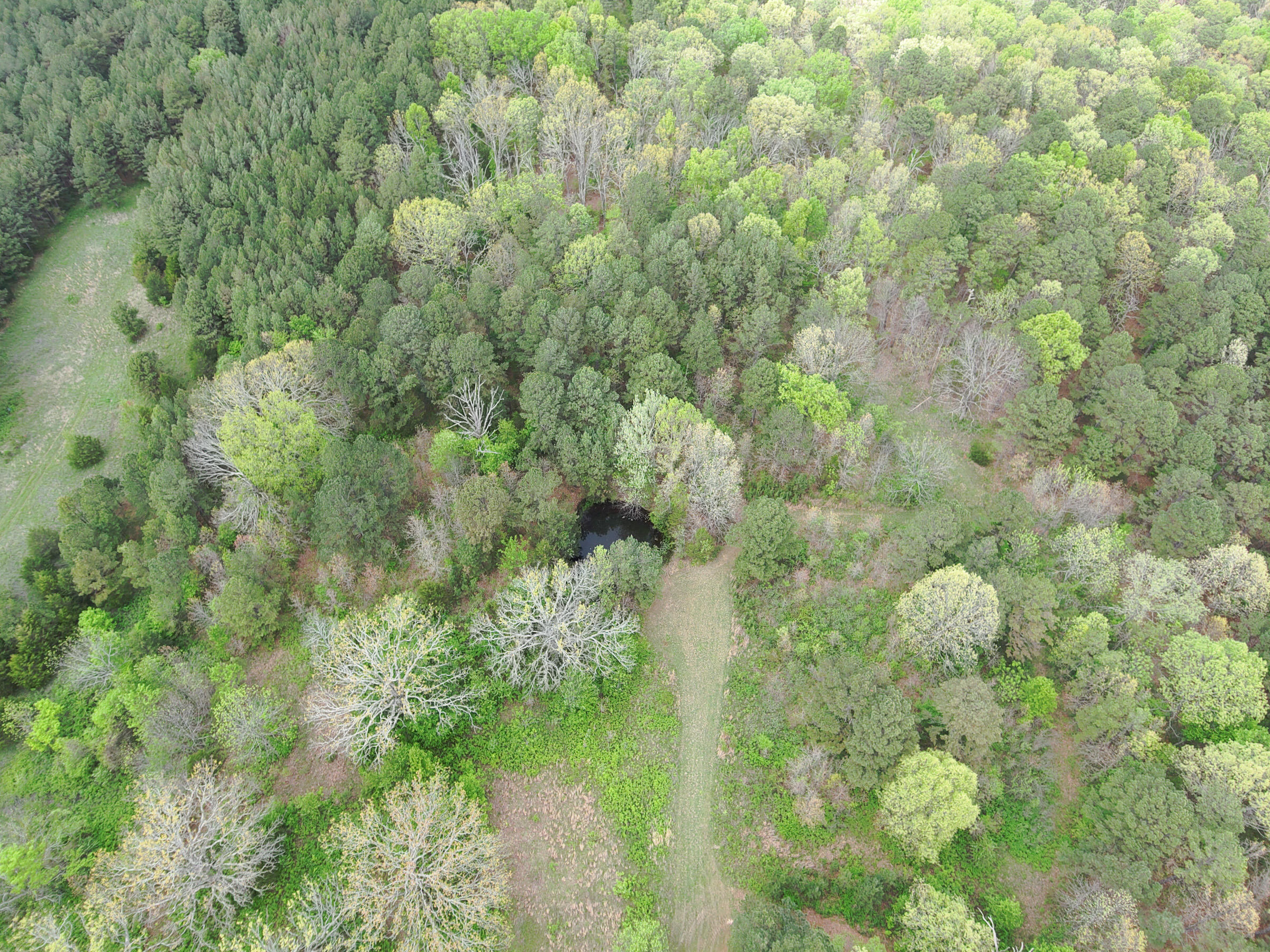 Photo 34 - Land for sale – 8307  Highway 63   Houston, MO