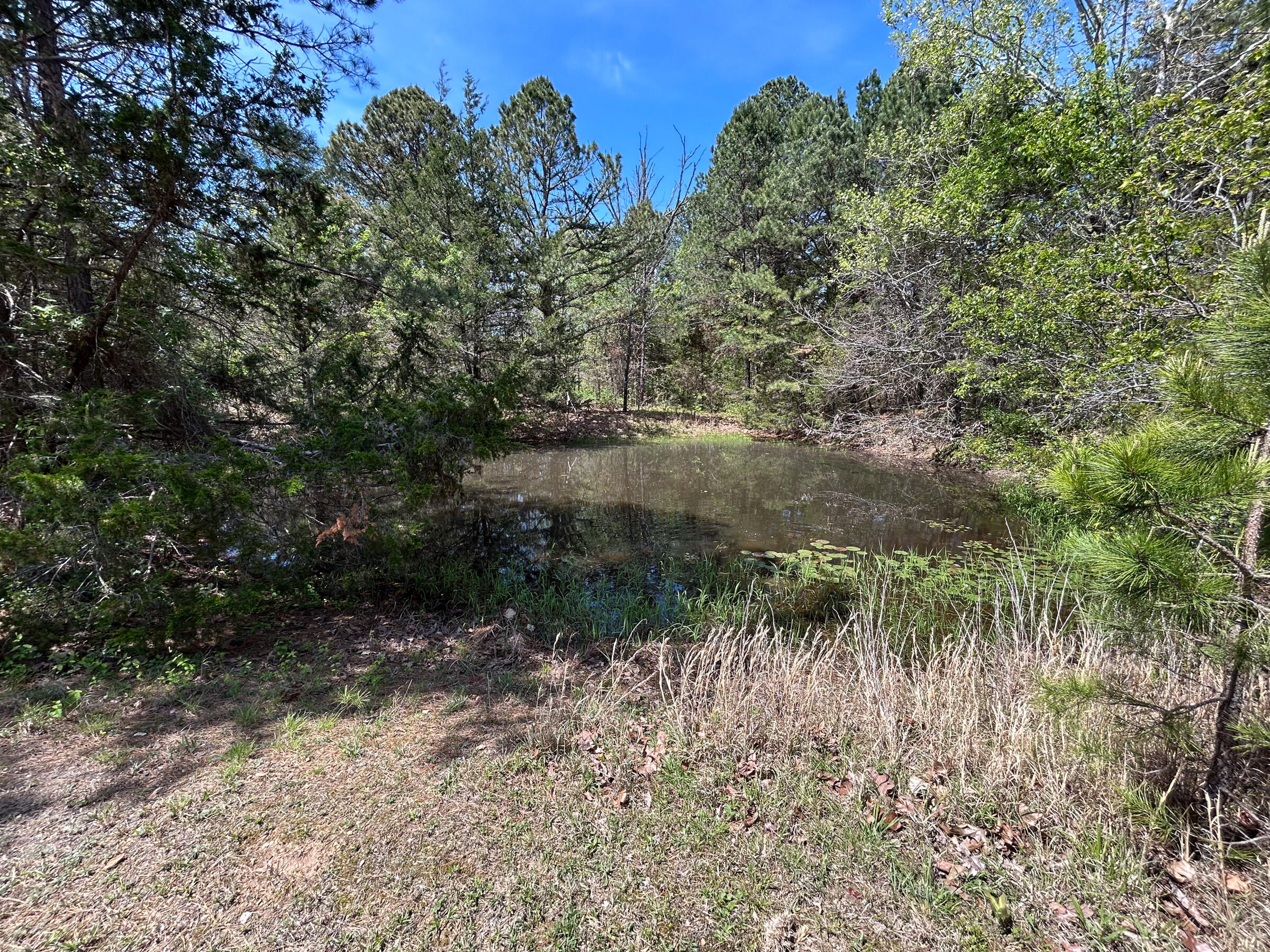 Photo 22 - Land for sale – 8307  Highway 63   Houston, MO