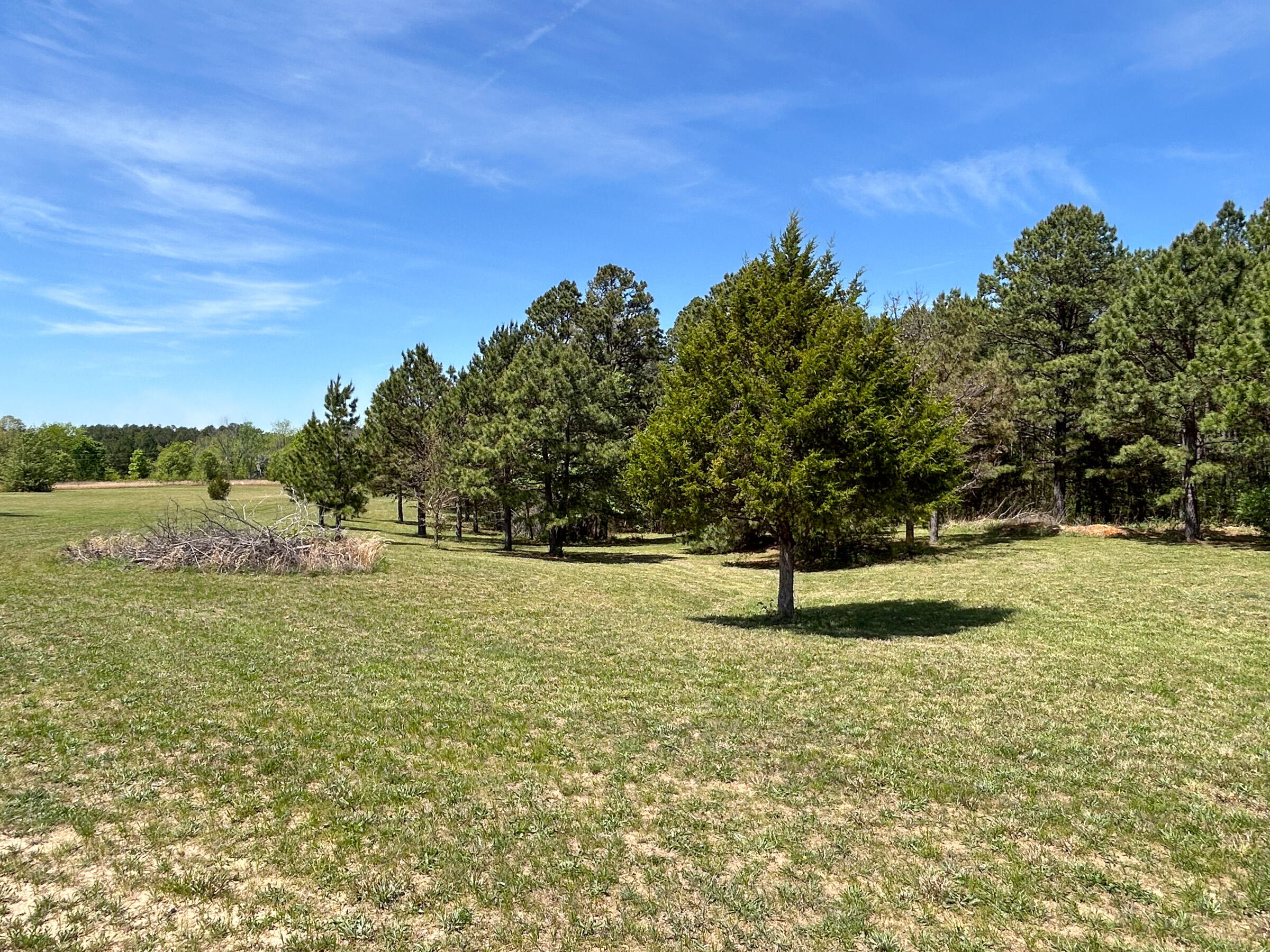 Photo 25 - Land for sale – 8307  Highway 63   Houston, MO