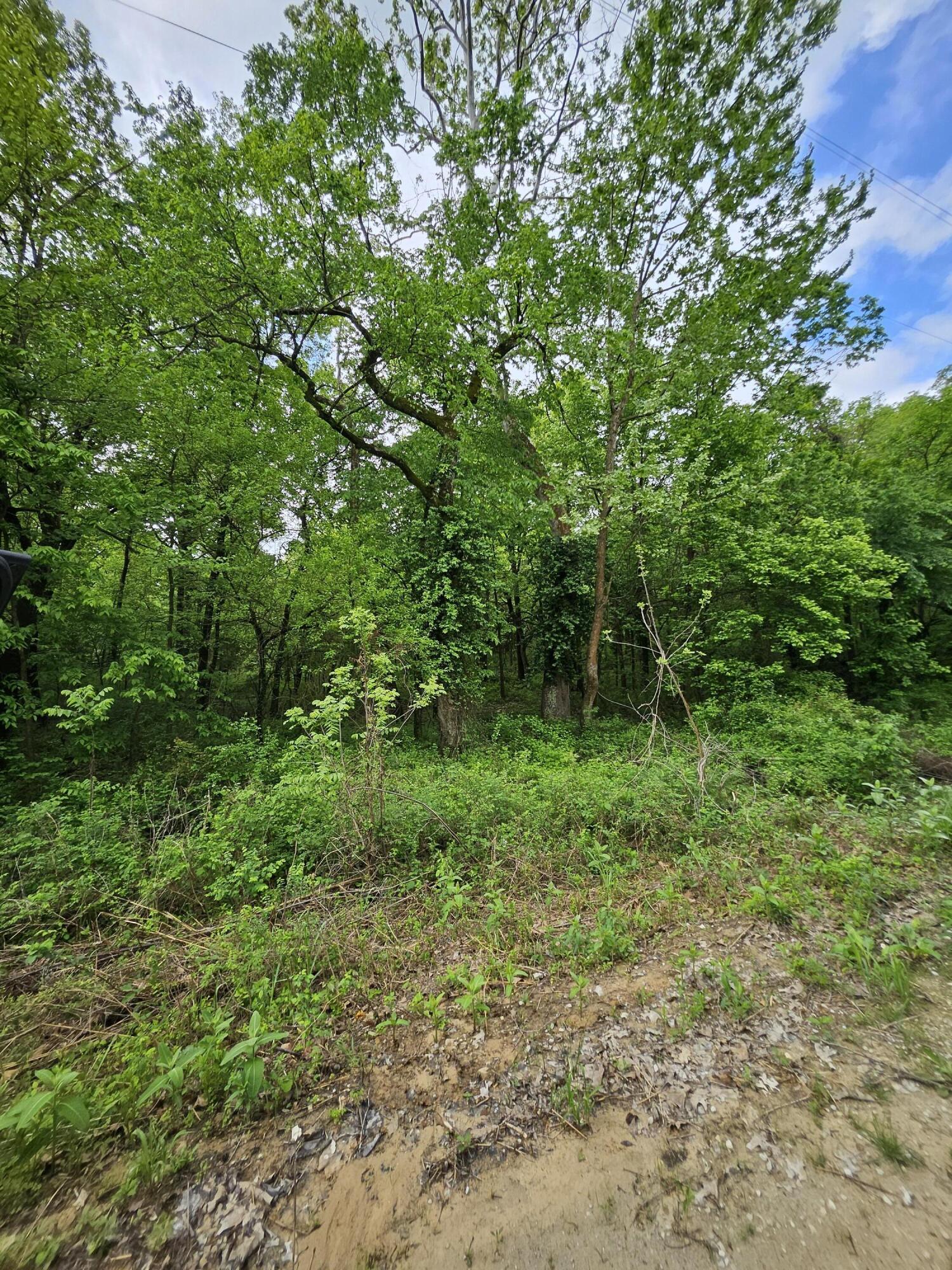 Photo 3 - Land for sale – 000 W Dade 2   Jerico Springs, MO