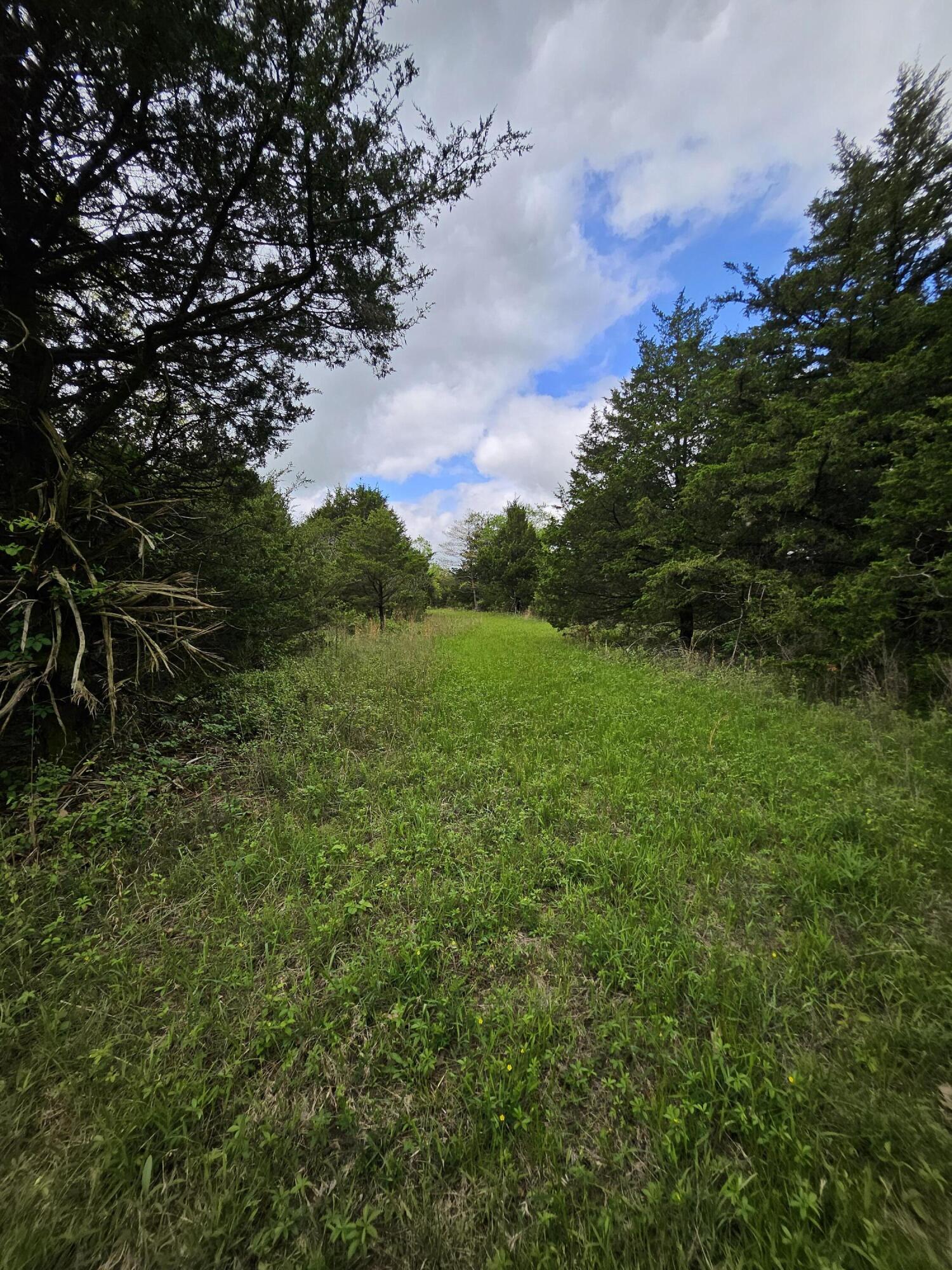 Photo 13 - Land for sale – 000 W Dade 2   Jerico Springs, MO