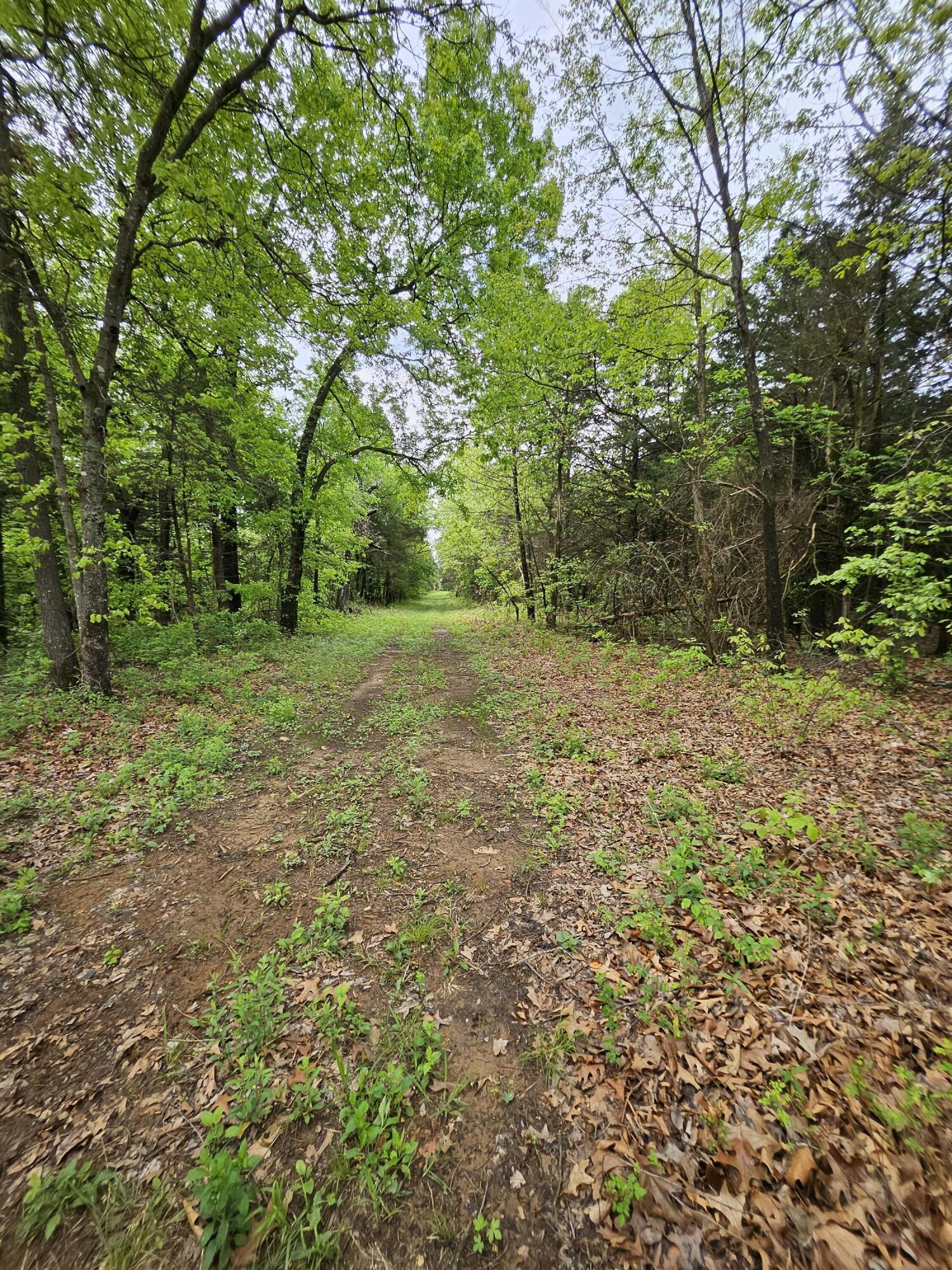 Photo 8 - Land for sale – 000 W Dade 2   Jerico Springs, MO