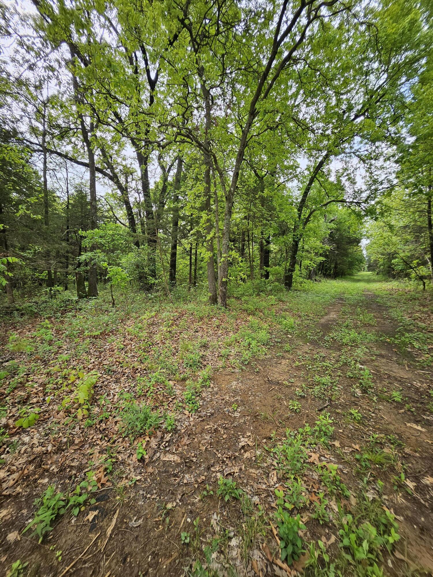 Photo 10 - Land for sale – 000 W Dade 2   Jerico Springs, MO