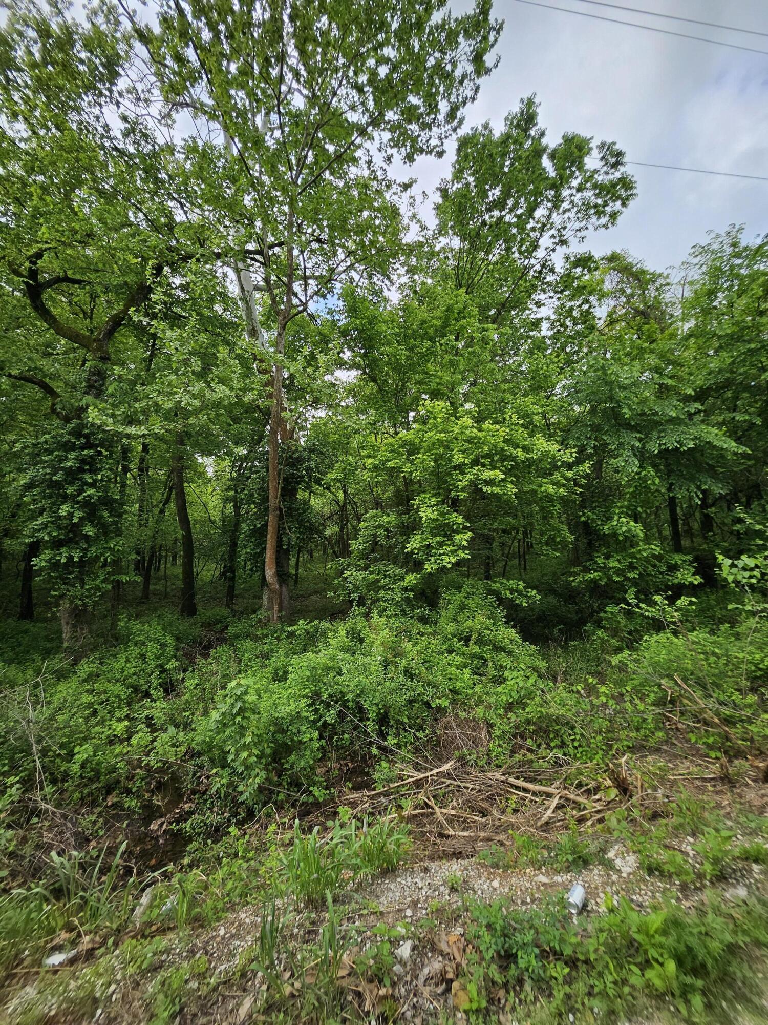 Photo 7 - Land for sale – 000 W Dade 2   Jerico Springs, MO