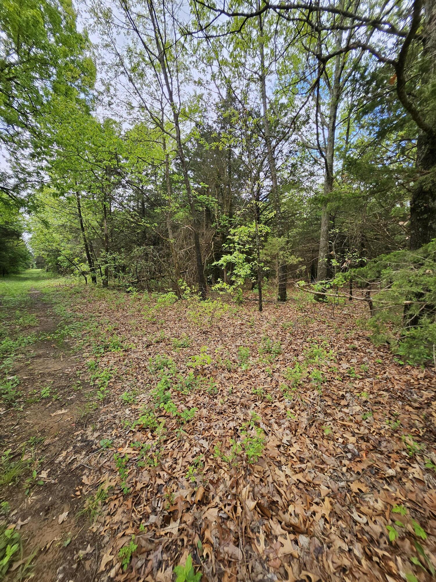 Photo 9 - Land for sale – 000 W Dade 2   Jerico Springs, MO