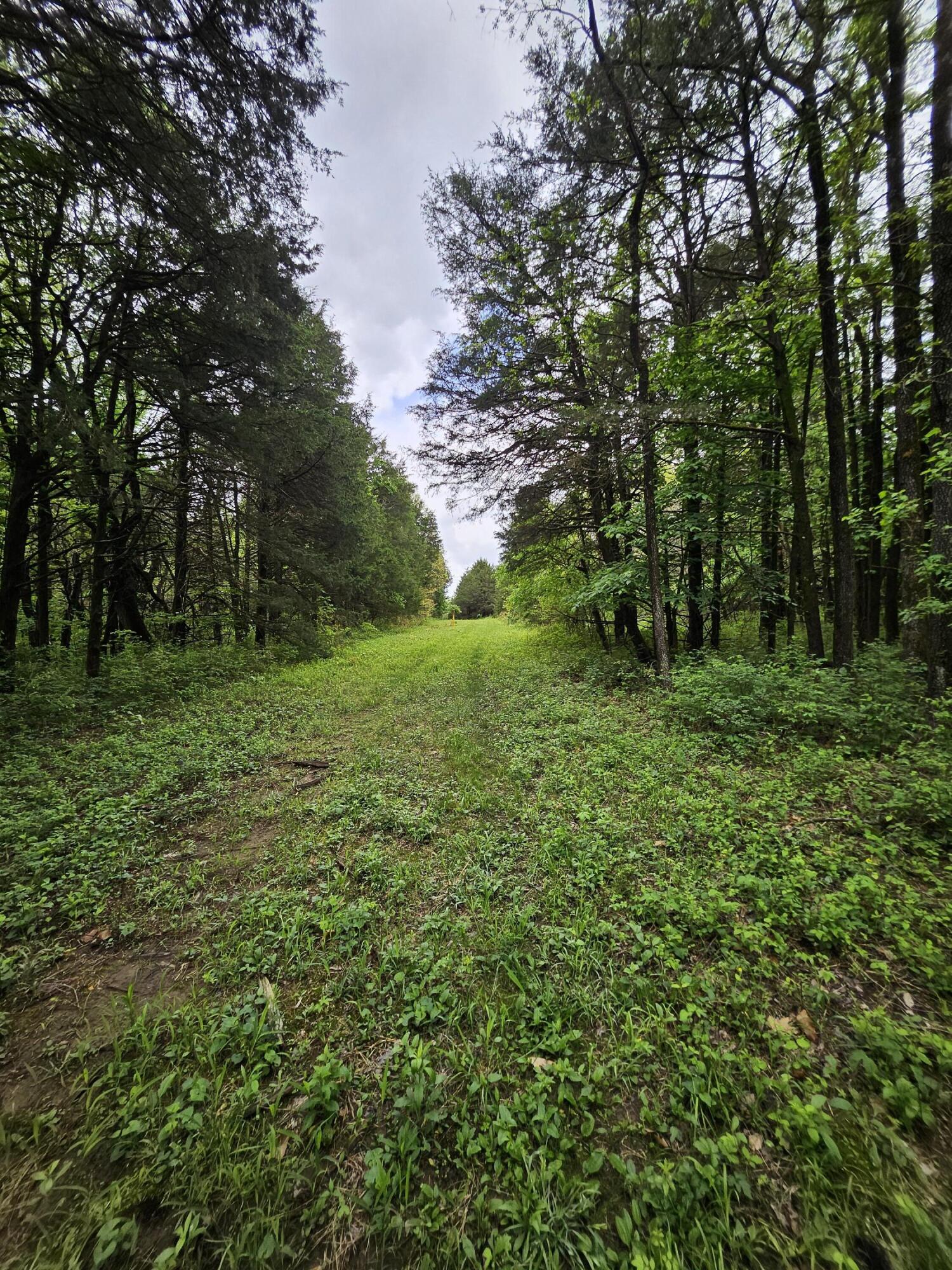 Land for sale – 000 W Dade 2   Jerico Springs, MO