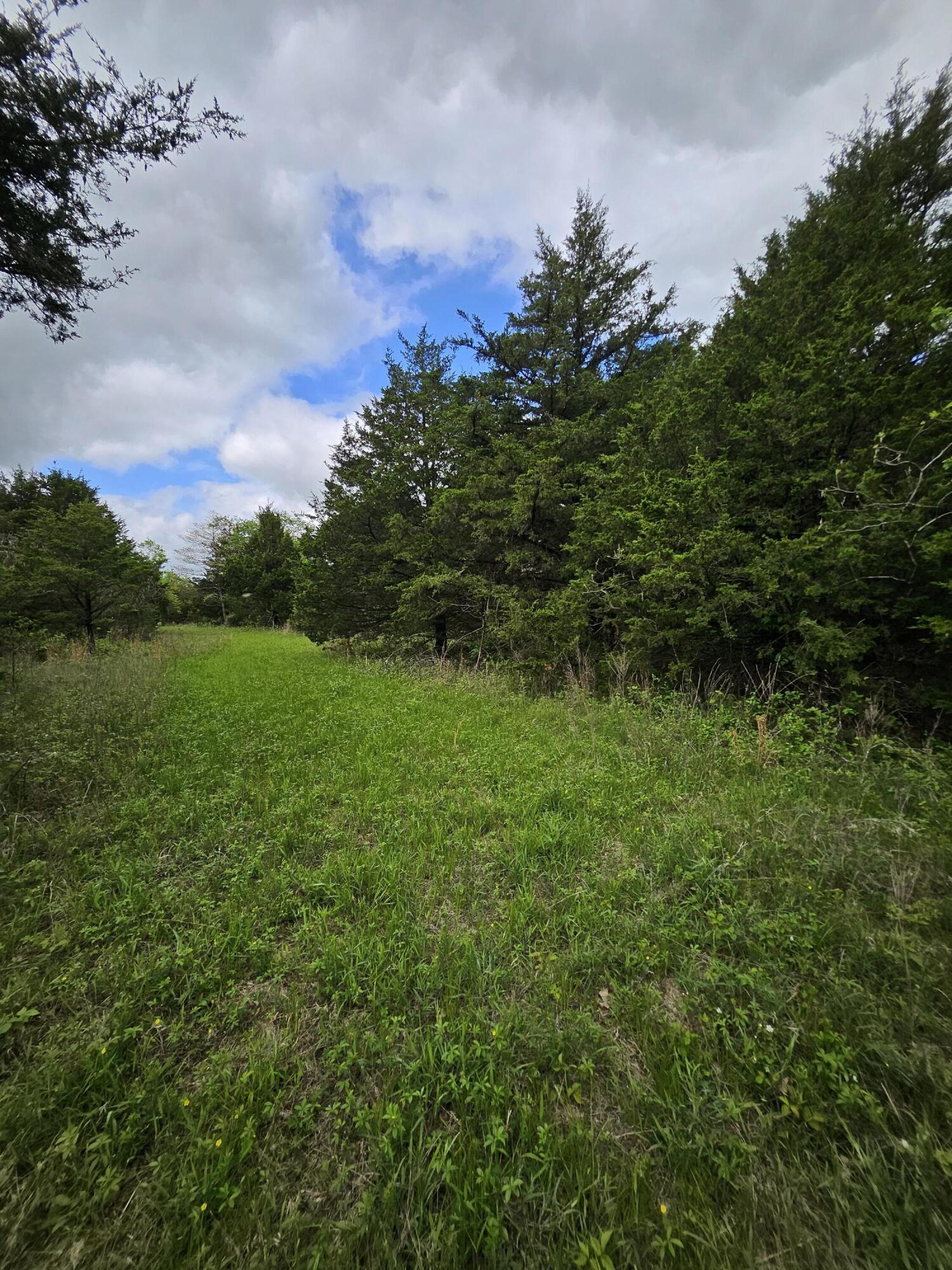 Photo 14 - Land for sale – 000 W Dade 2   Jerico Springs, MO