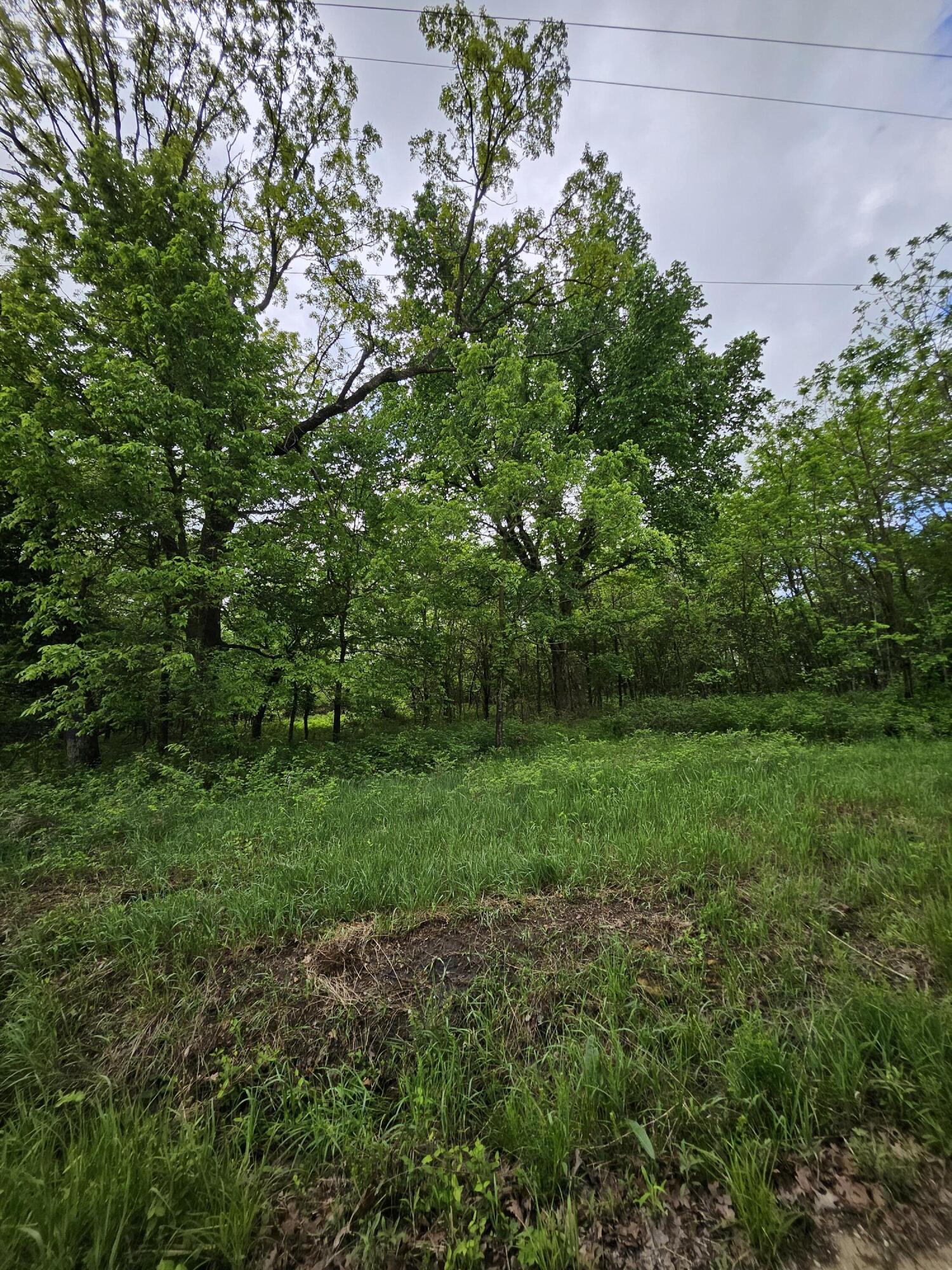Photo 6 - Land for sale – 000 W Dade 2   Jerico Springs, MO