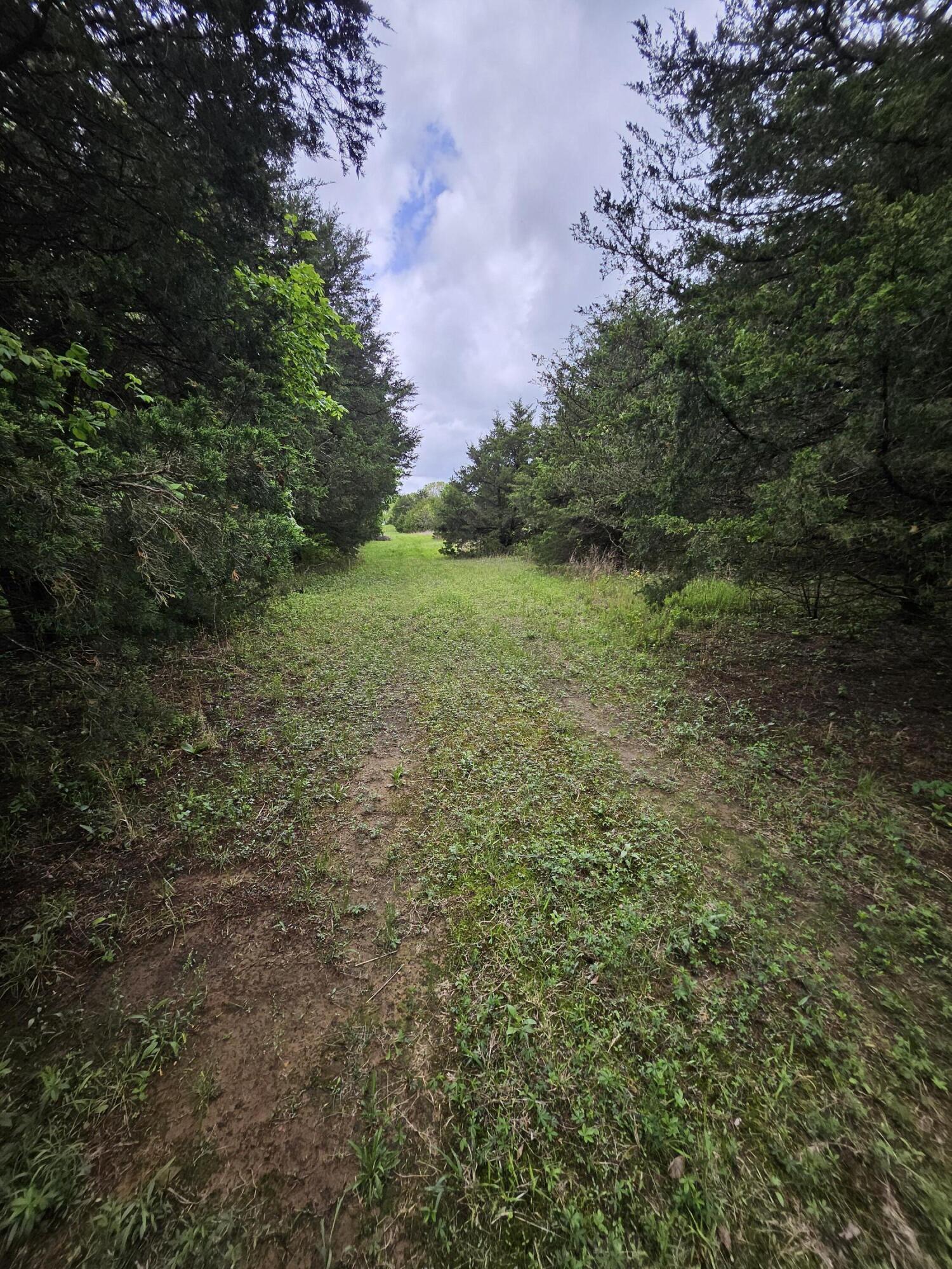 Photo 4 - Land for sale – 000 W Dade 2   Jerico Springs, MO