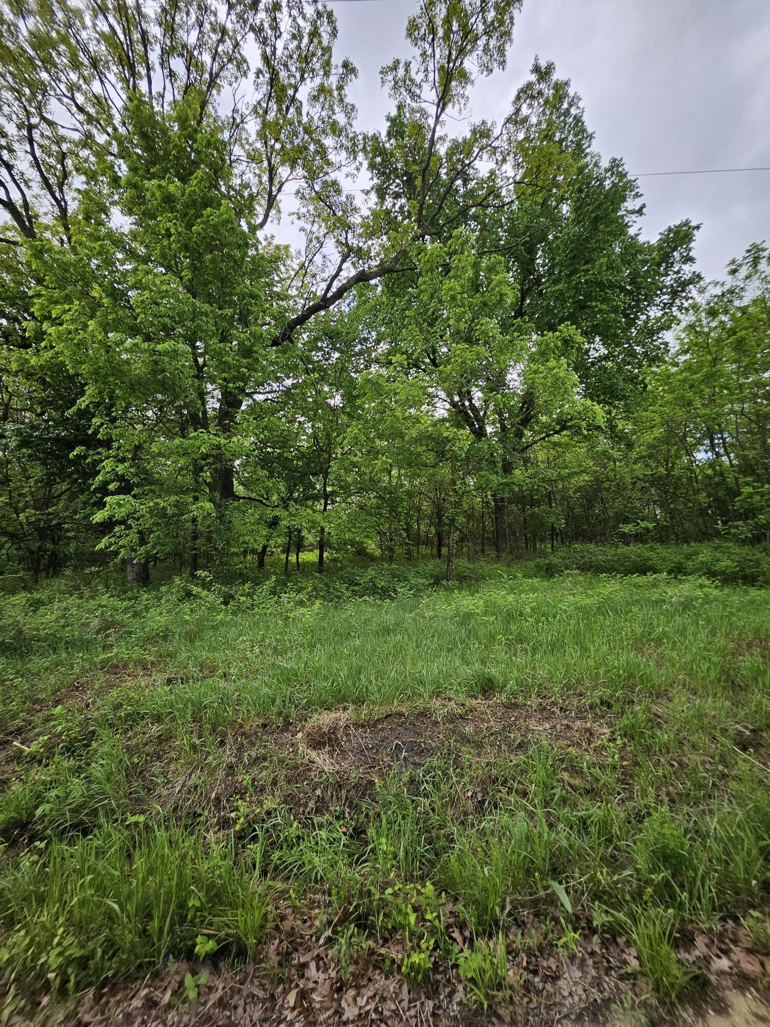 Photo 5 - Land for sale – 000 W Dade 2   Jerico Springs, MO