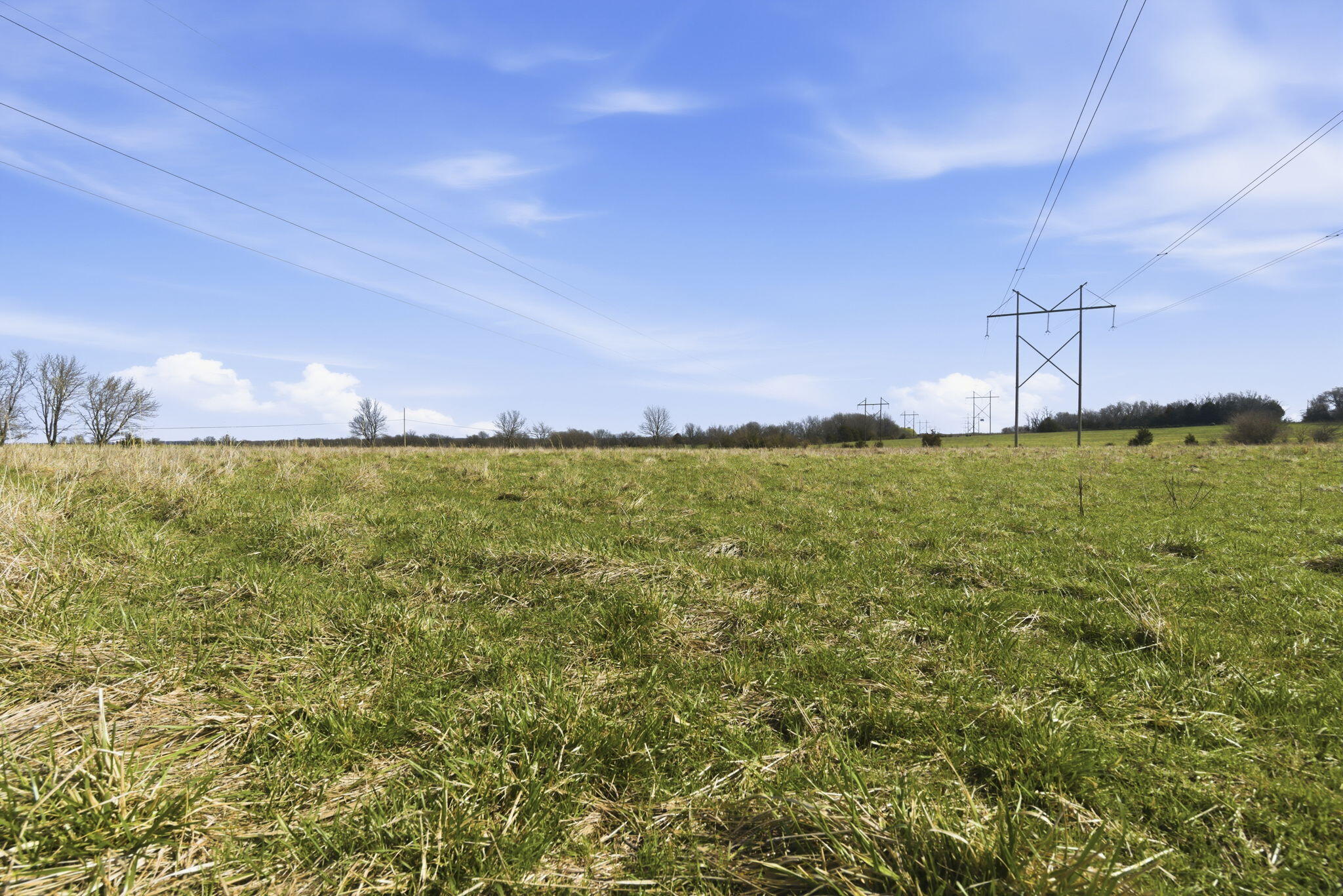 Photo 11 - Land for sale – 000 S Pond Willow Lane  Republic, MO