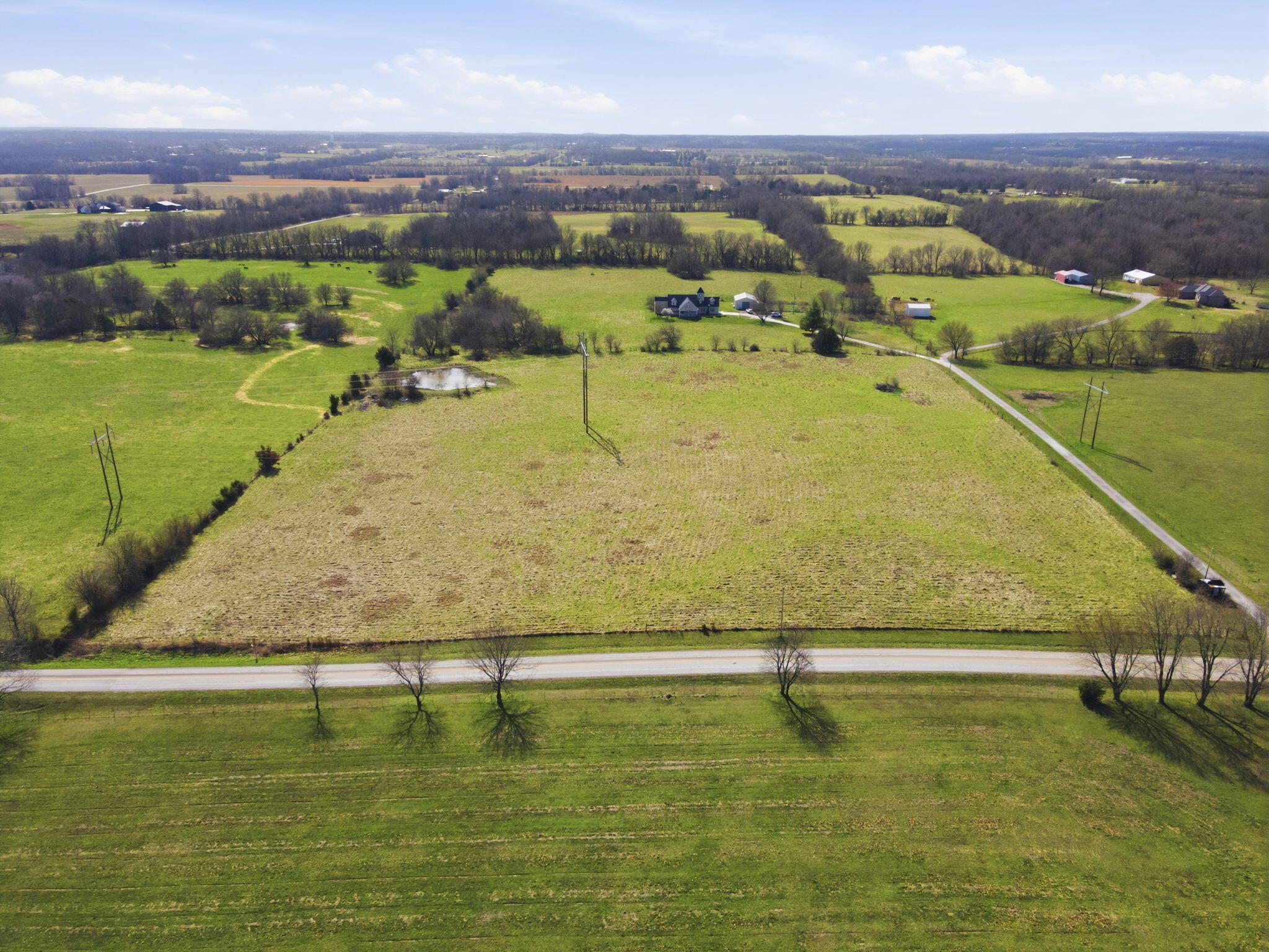 Photo 5 - Land for sale – 000 S Pond Willow Lane  Republic, MO