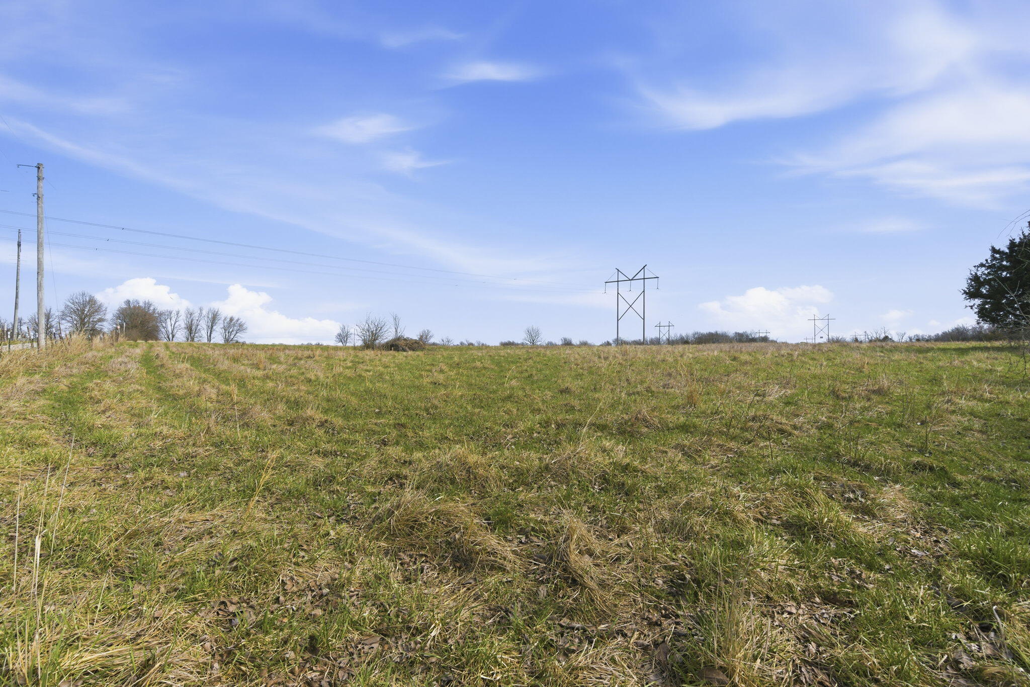Photo 8 - Land for sale – 000 S Pond Willow Lane  Republic, MO