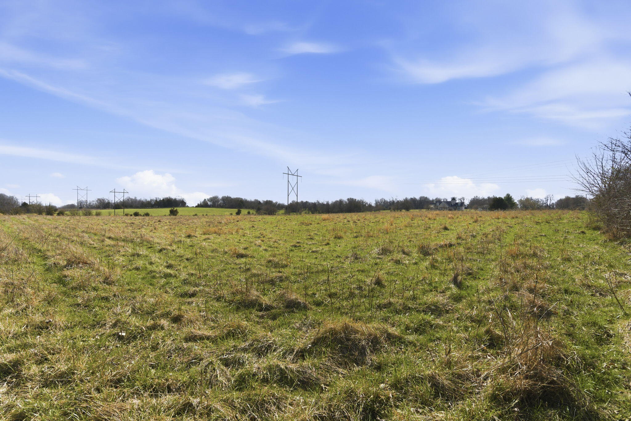 Photo 7 - Land for sale – 000 S Pond Willow Lane  Republic, MO