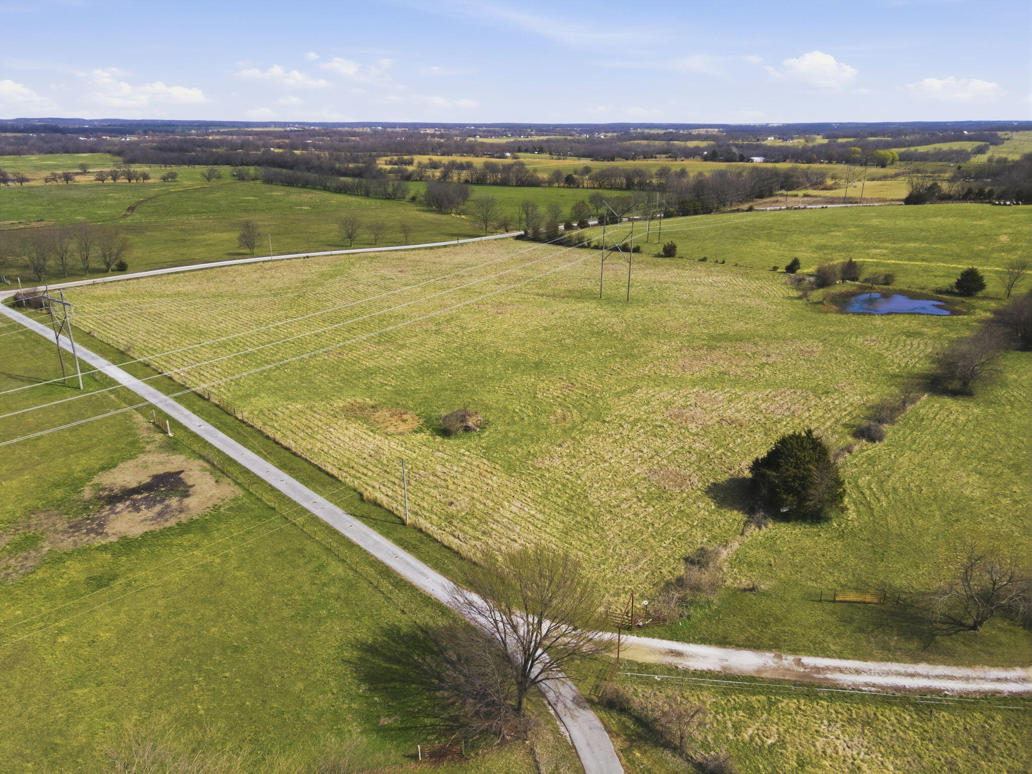 Land for sale – 000 S Pond Willow Lane  Republic, MO