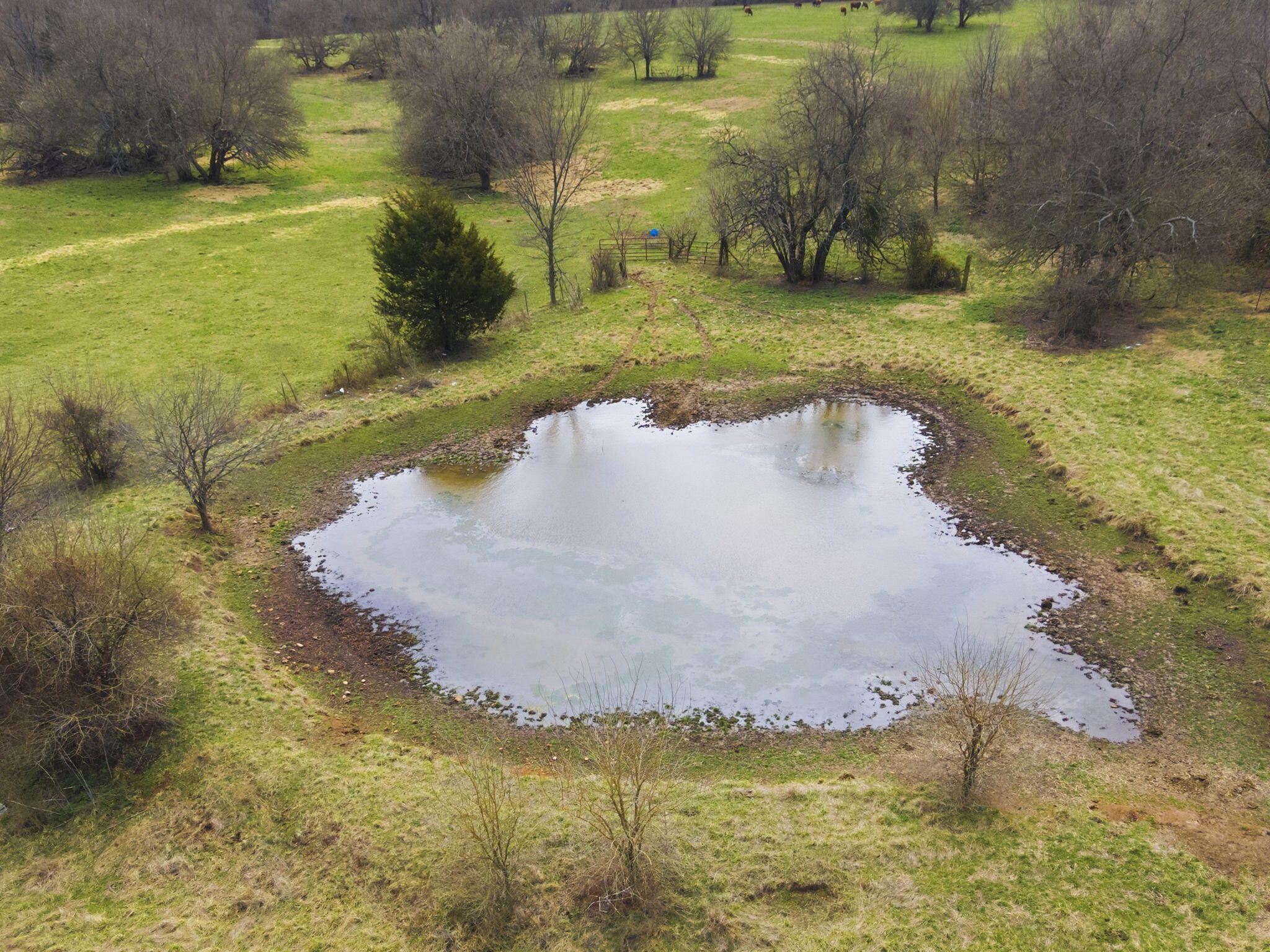 Photo 4 - Land for sale – 000 S Pond Willow Lane  Republic, MO