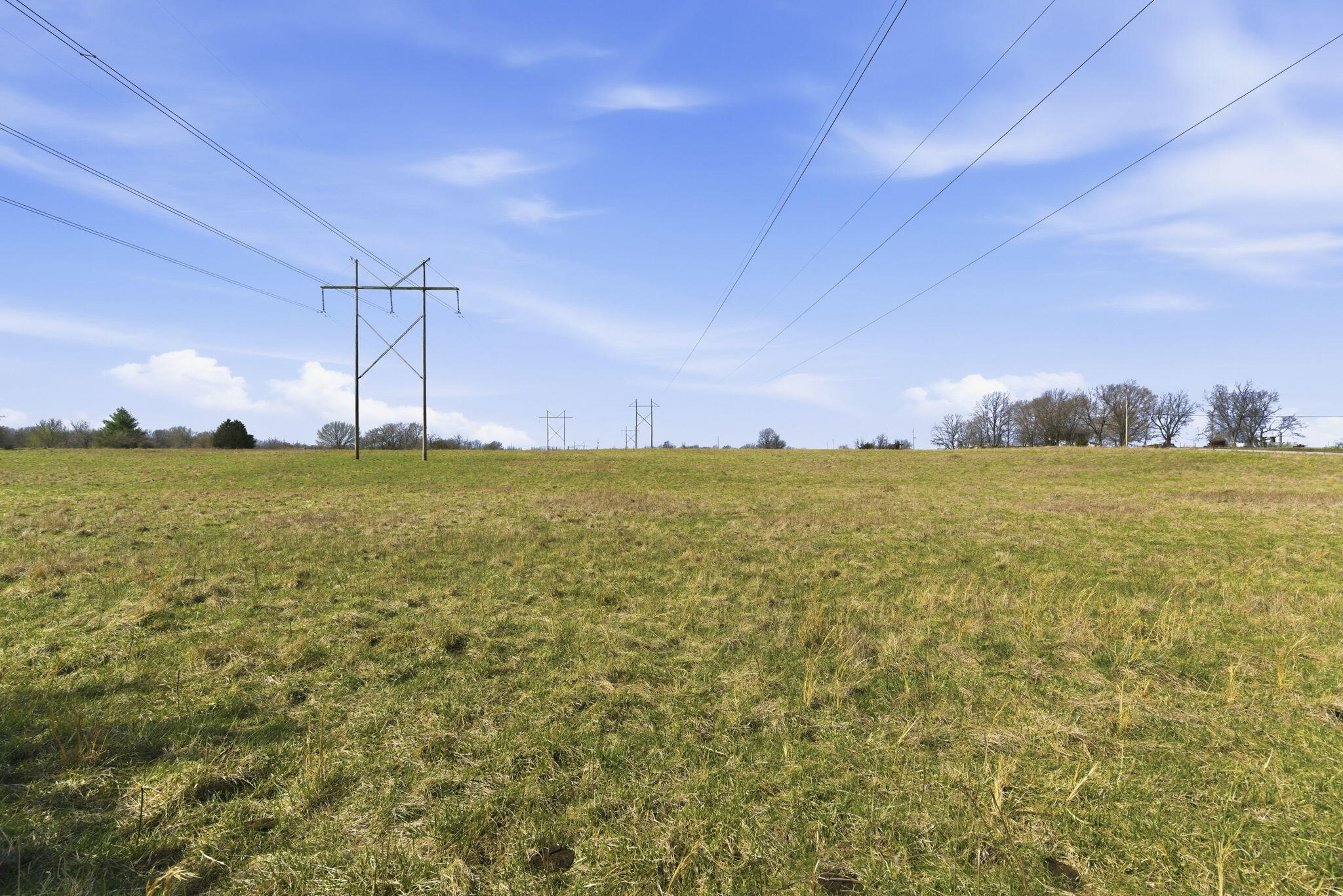 Photo 14 - Land for sale – 000 S Pond Willow Lane  Republic, MO