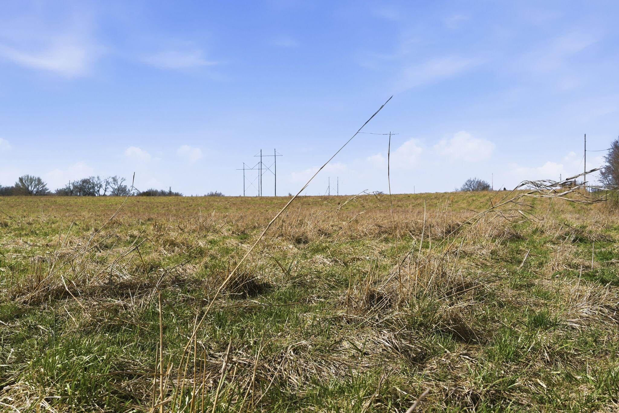 Photo 13 - Land for sale – 000 S Pond Willow Lane  Republic, MO