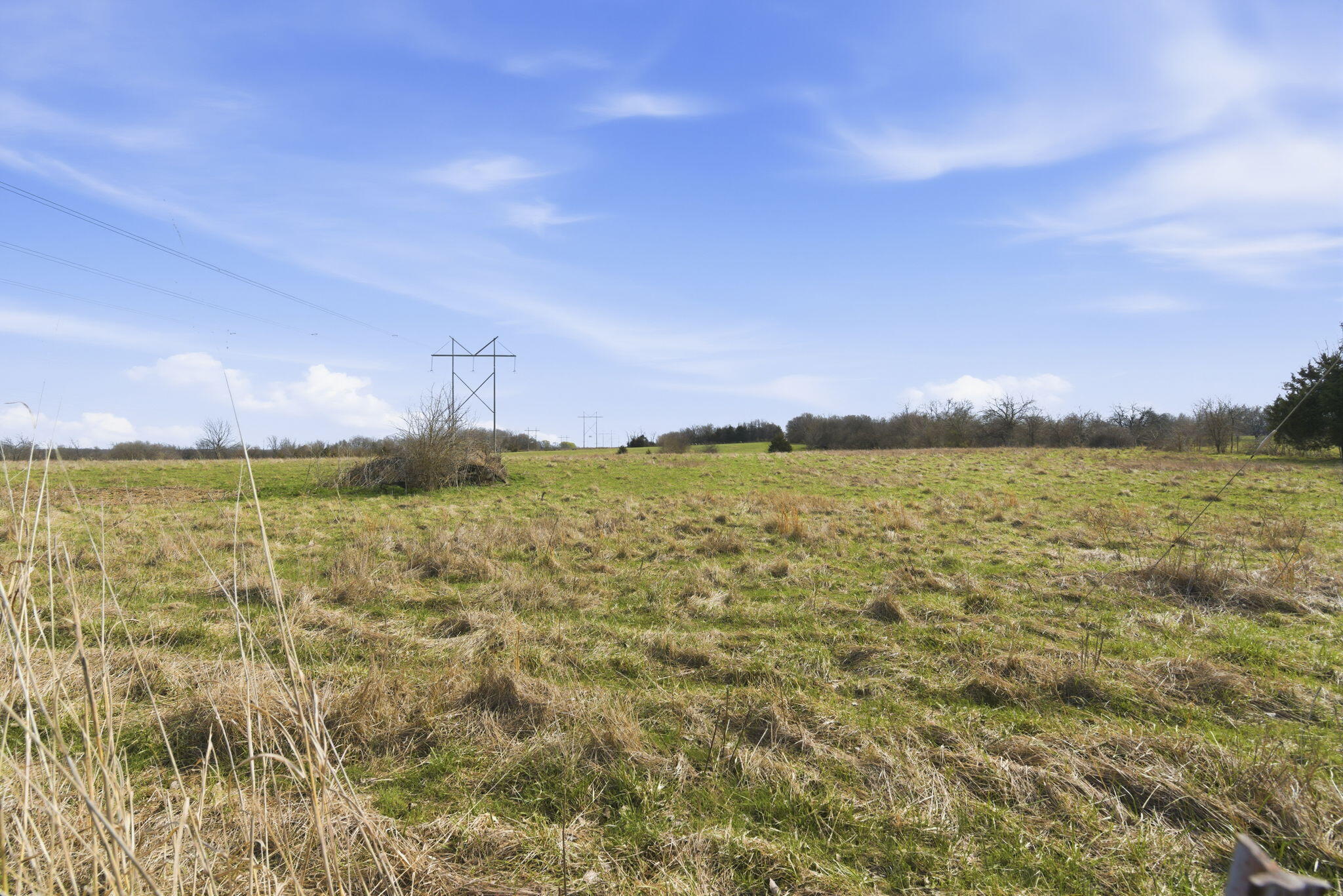 Photo 10 - Land for sale – 000 S Pond Willow Lane  Republic, MO