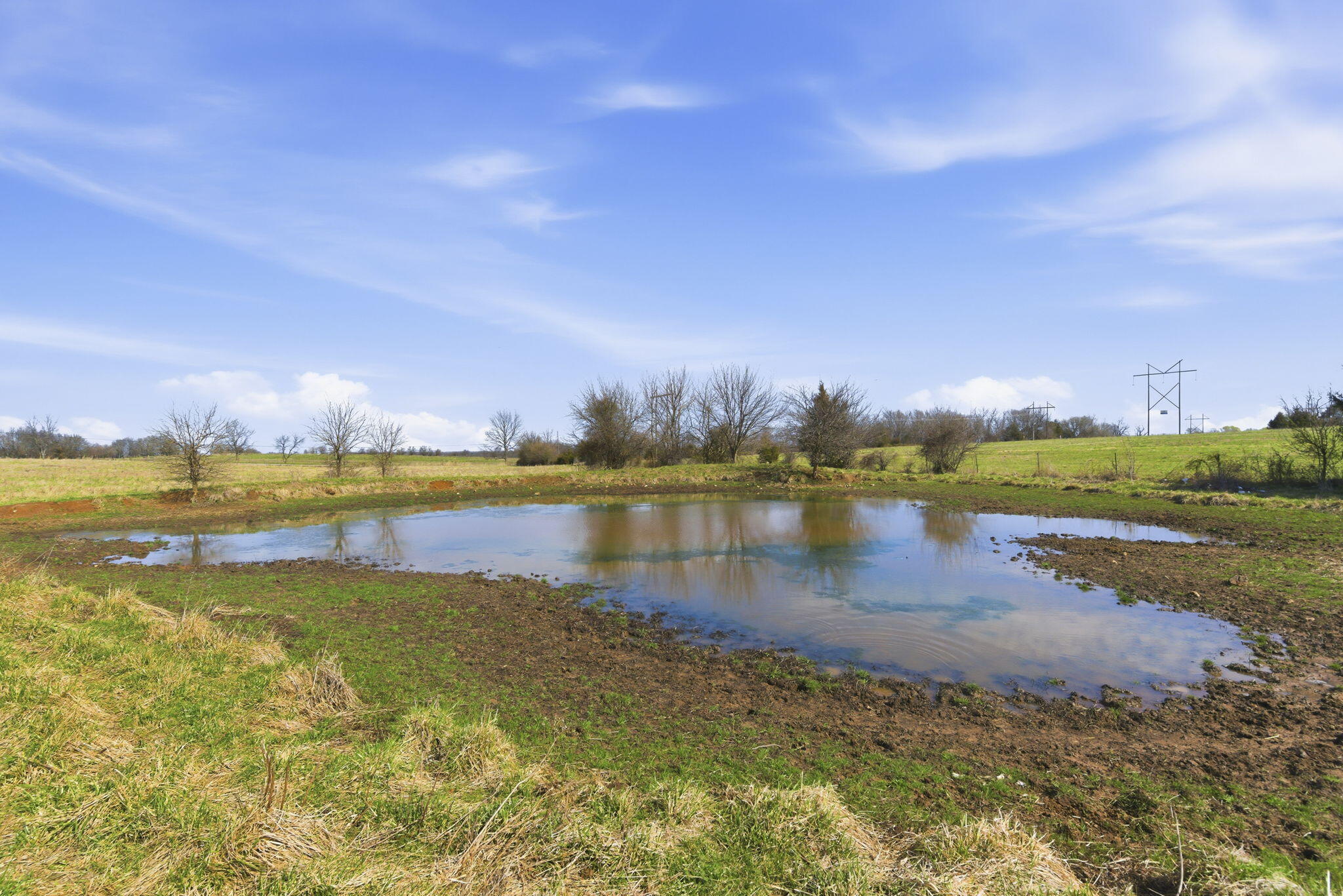 Photo 19 - Land for sale – 000 S Pond Willow Lane  Republic, MO