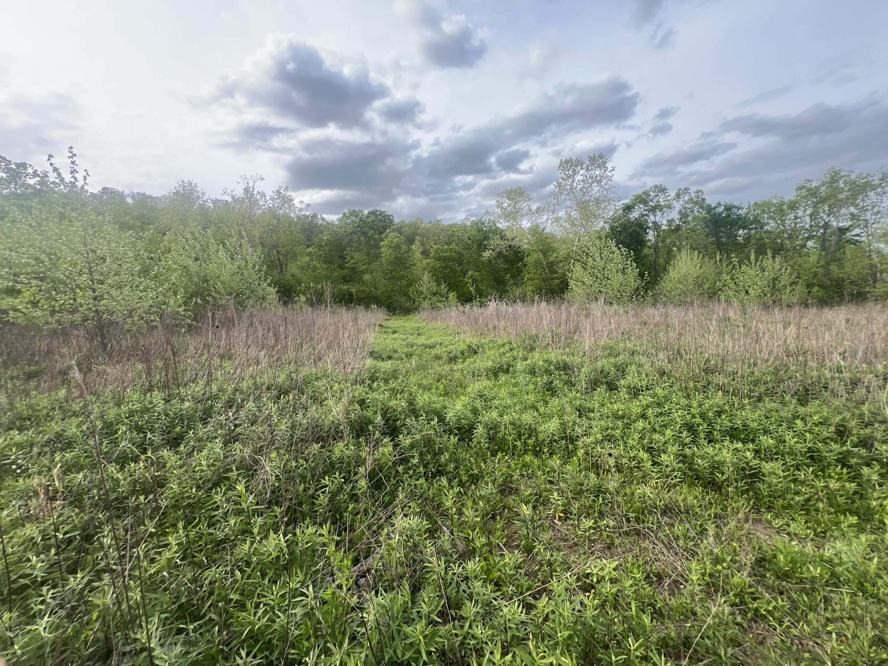 Land for sale – 0000  Cedar Gap Central Lane  Mansfield, MO