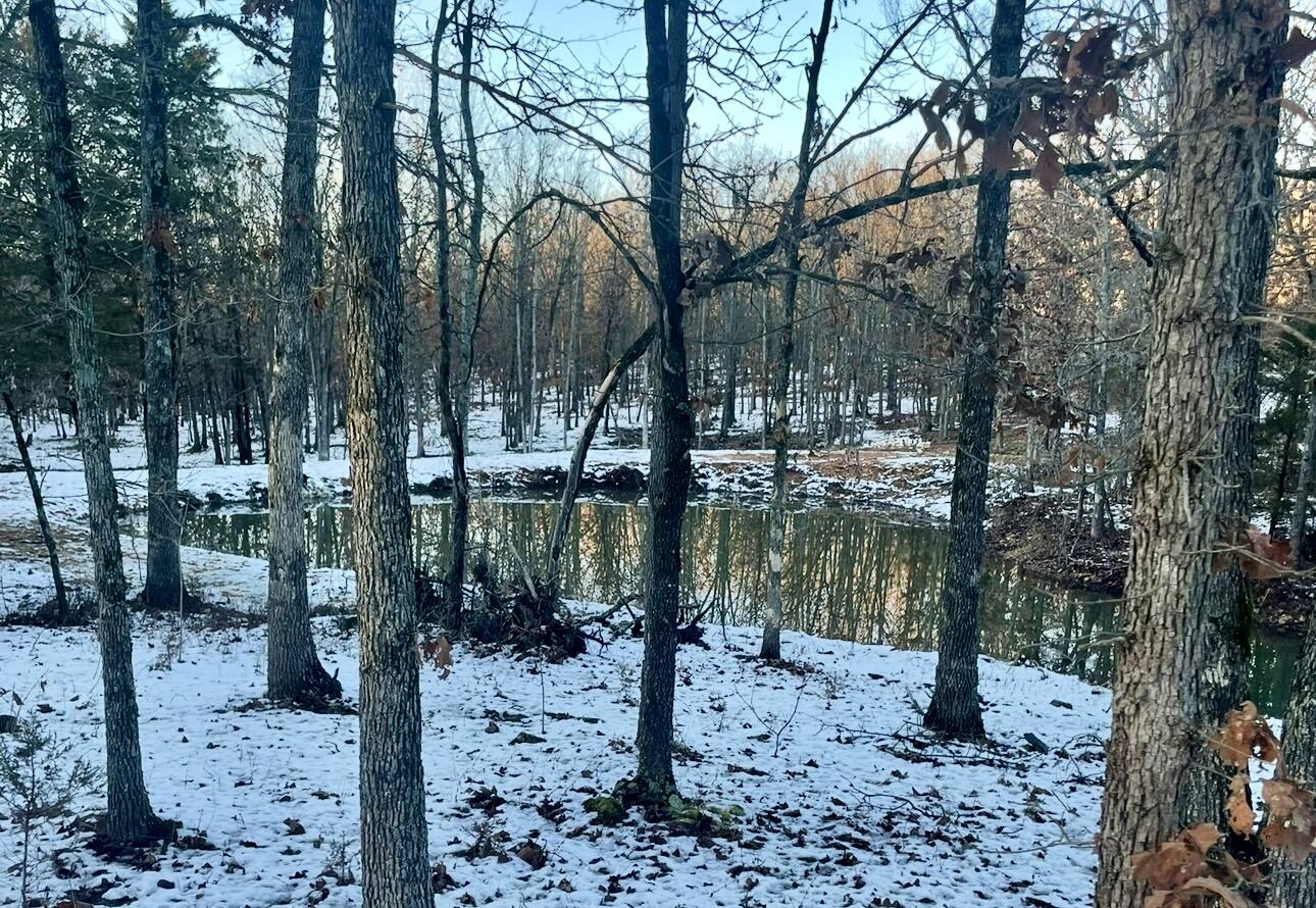 Photo 5 - Land for sale – Lot 2  The Ridges, Austin Drive  Joplin, MO