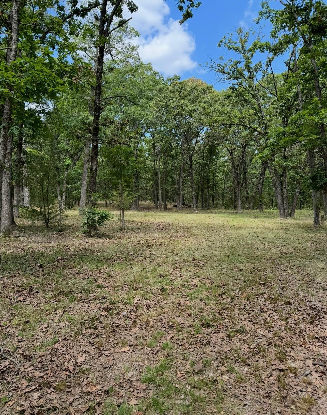 Photo 3 - Land for sale – Lot 2  The Ridges, Austin Drive  Joplin, MO