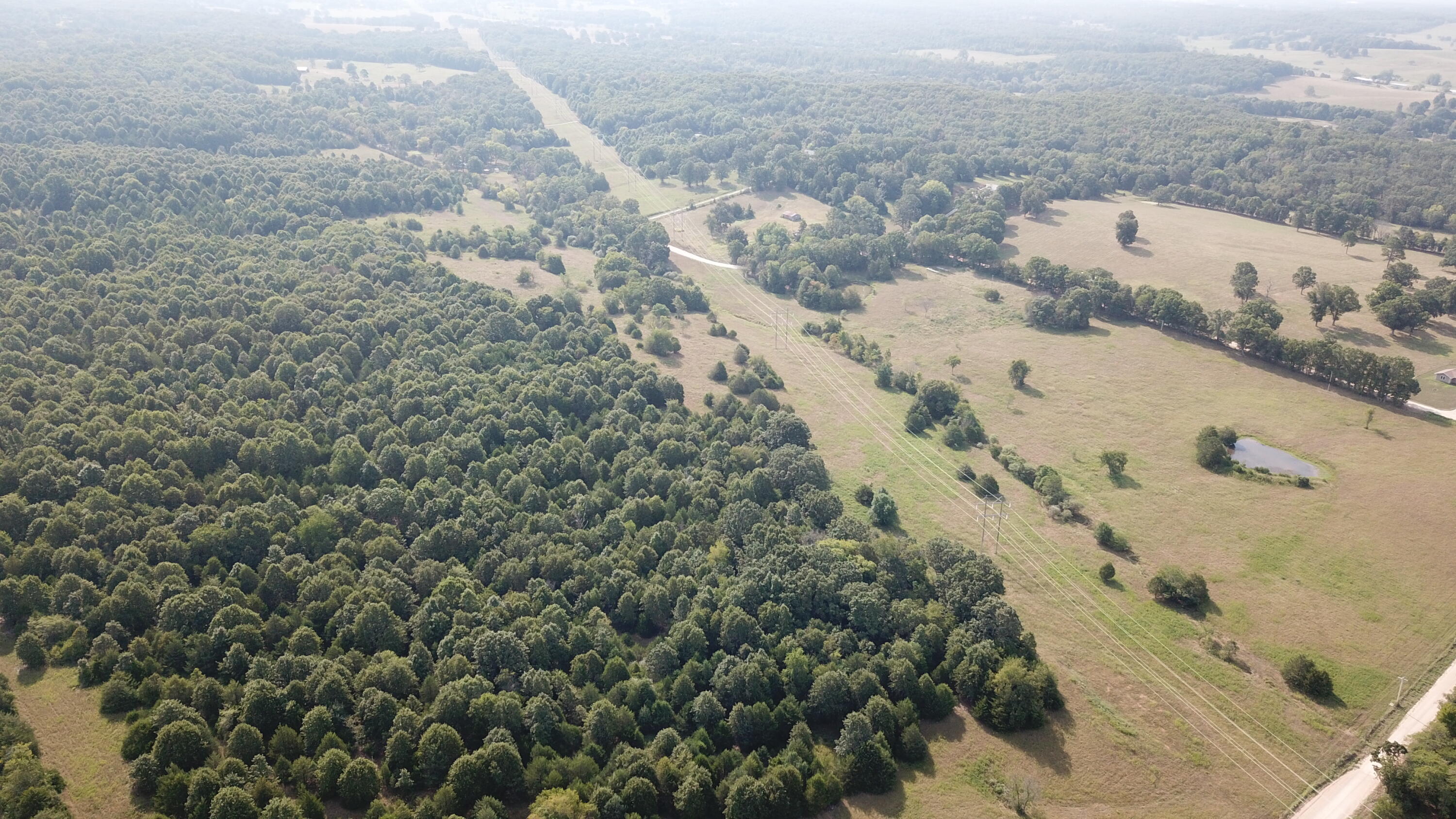 Photo 49 - Land for sale – 000  County Road 6750 Road  West Plains, MO