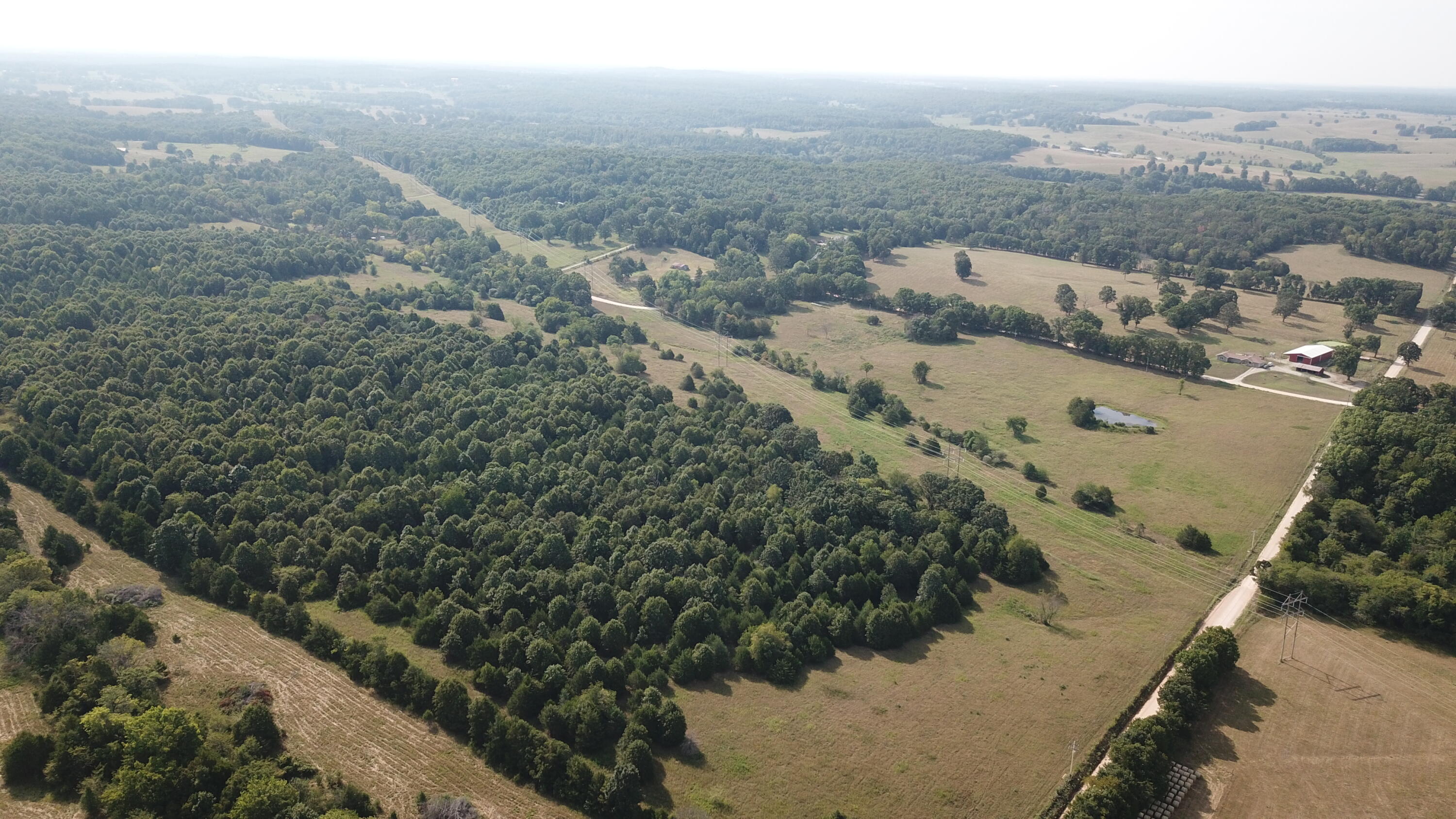 Photo 53 - Land for sale – 000  County Road 6750 Road  West Plains, MO
