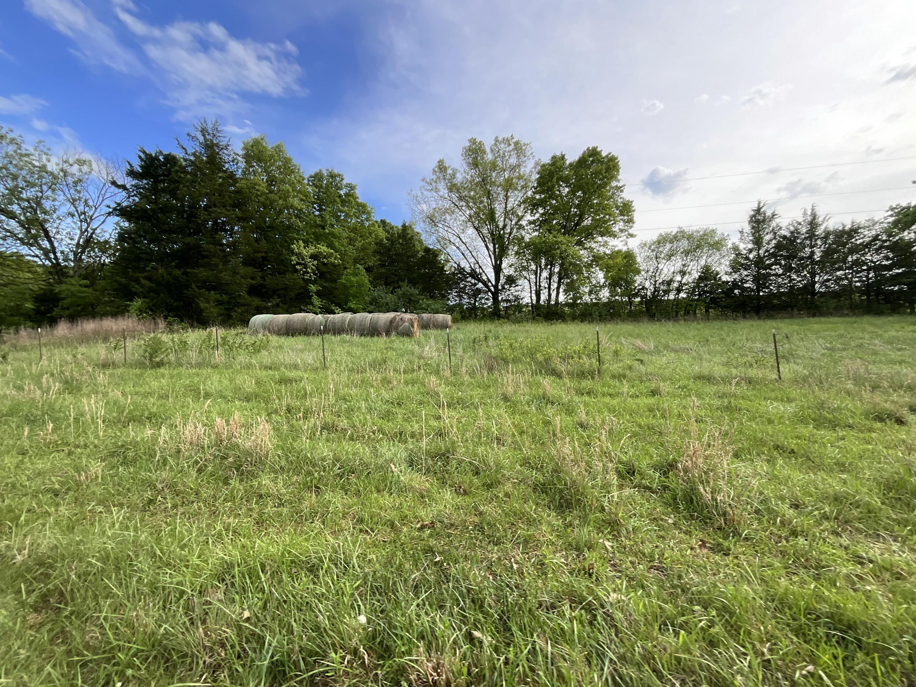 Photo 11 - Land for sale – 000  County Road 6750 Road  West Plains, MO