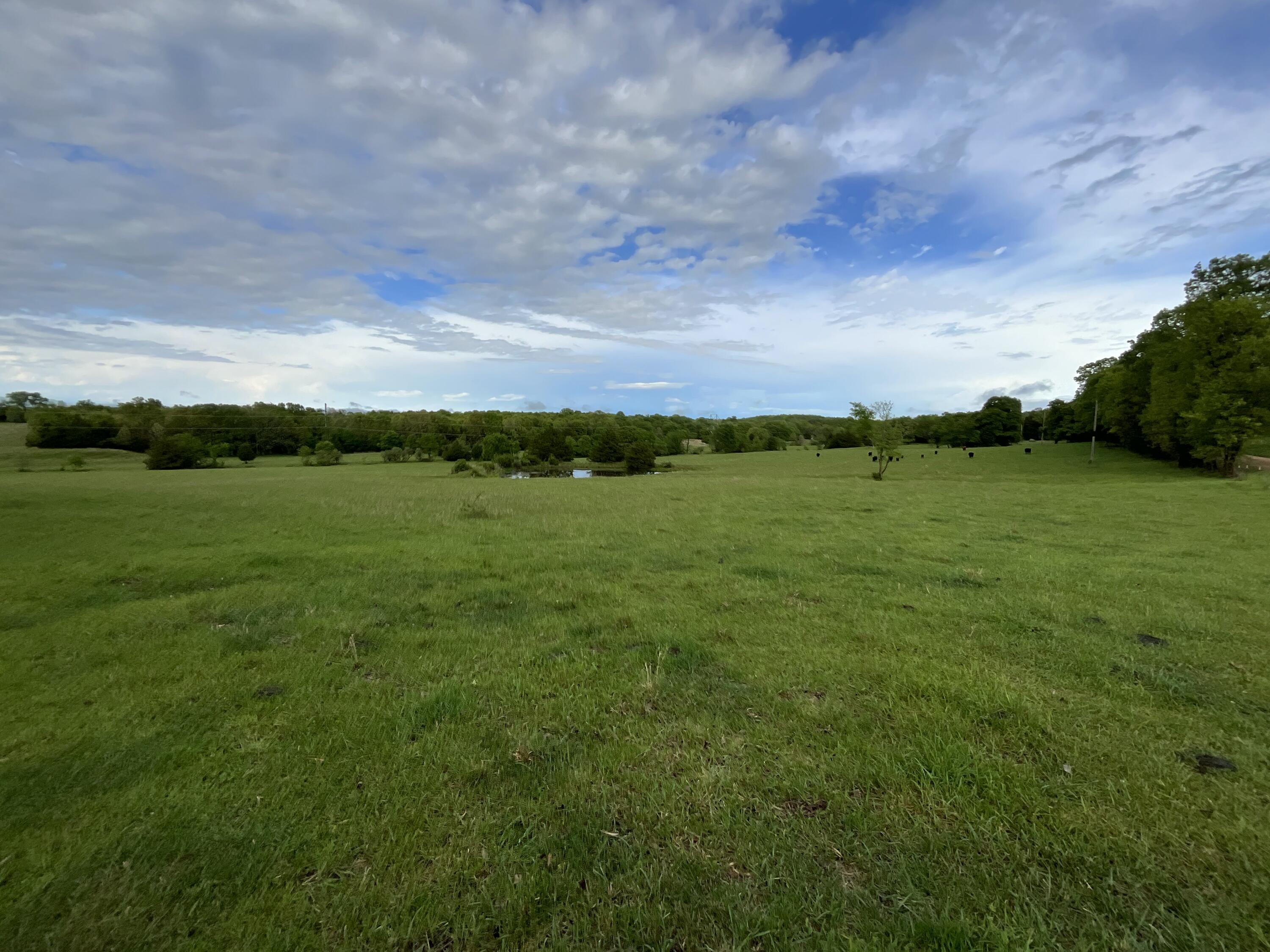 Photo 7 - Land for sale – 000  County Road 6750 Road  West Plains, MO