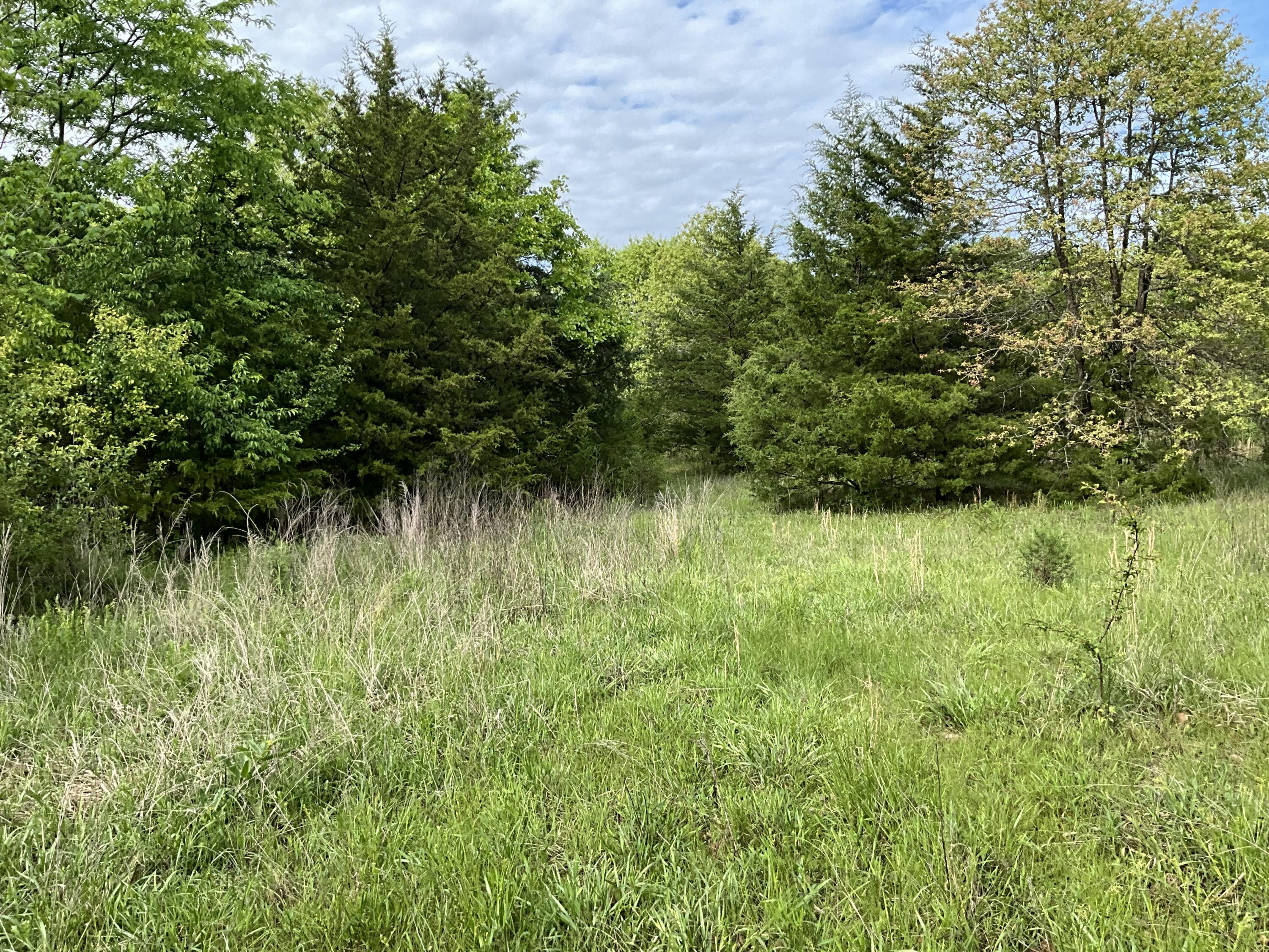 Photo 25 - Land for sale – 000  County Road 6750 Road  West Plains, MO