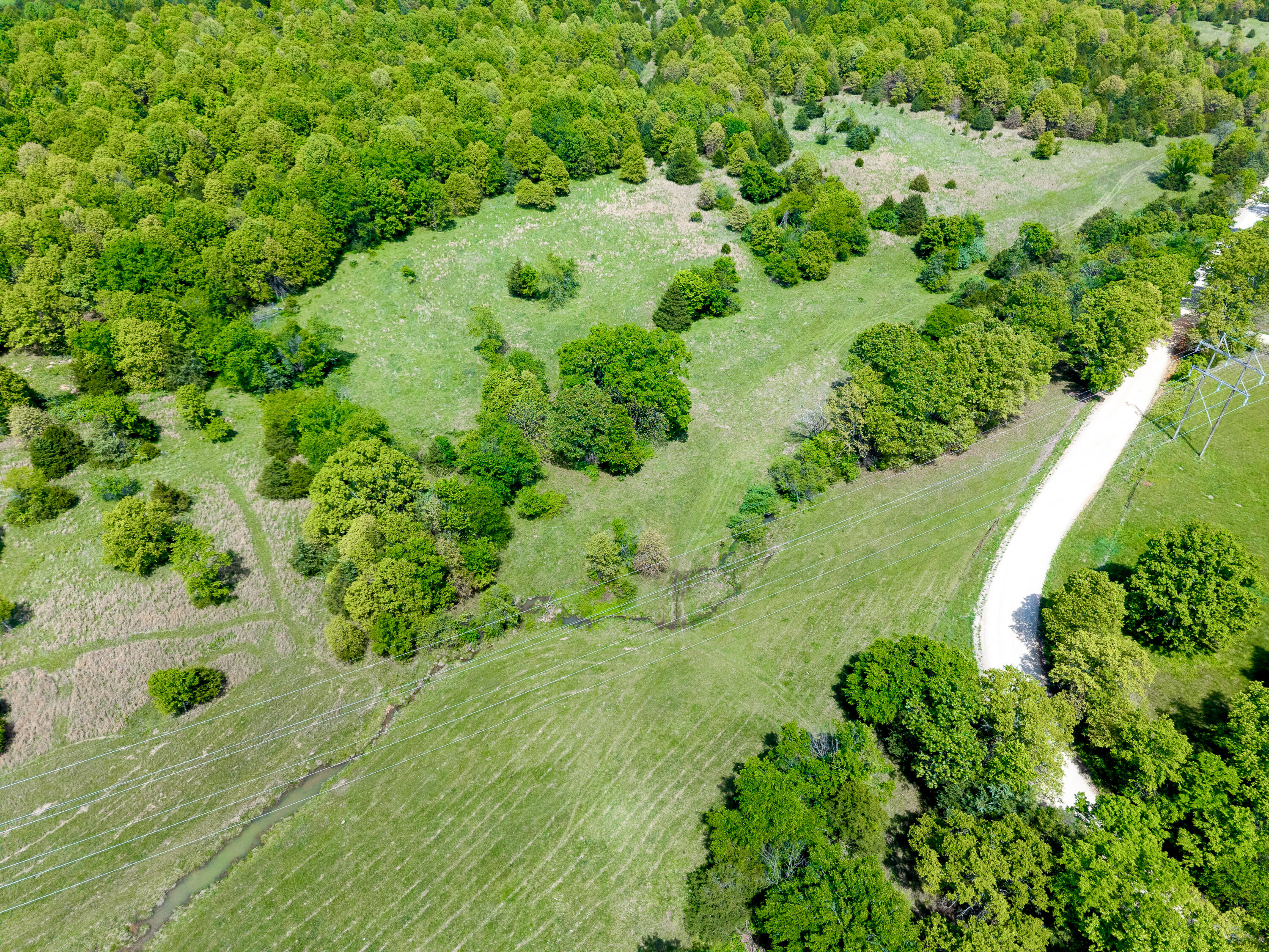 Photo 6 - Land for sale – 000  County Road 6750 Road  West Plains, MO