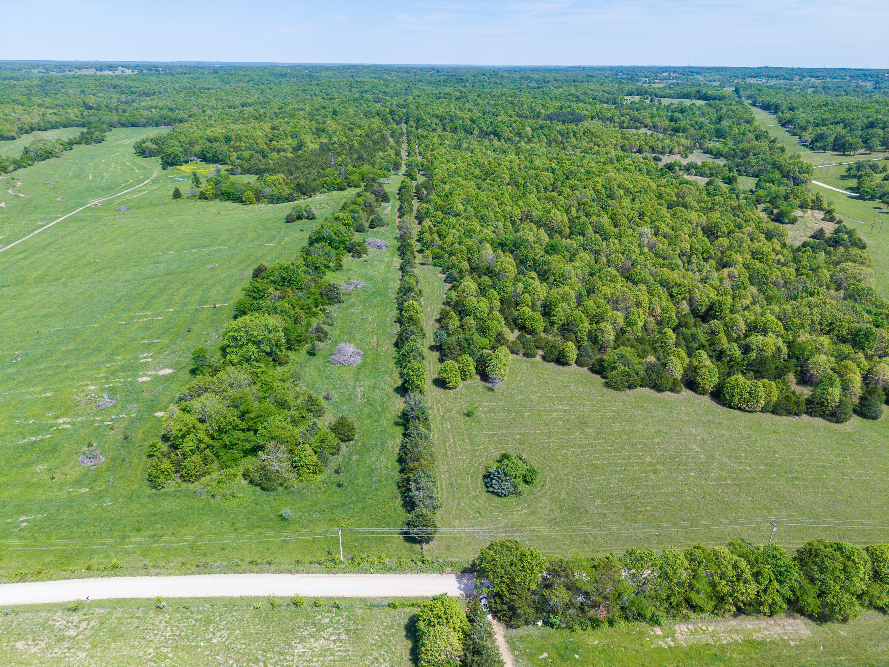 Photo 5 - Land for sale – 000  County Road 6750 Road  West Plains, MO
