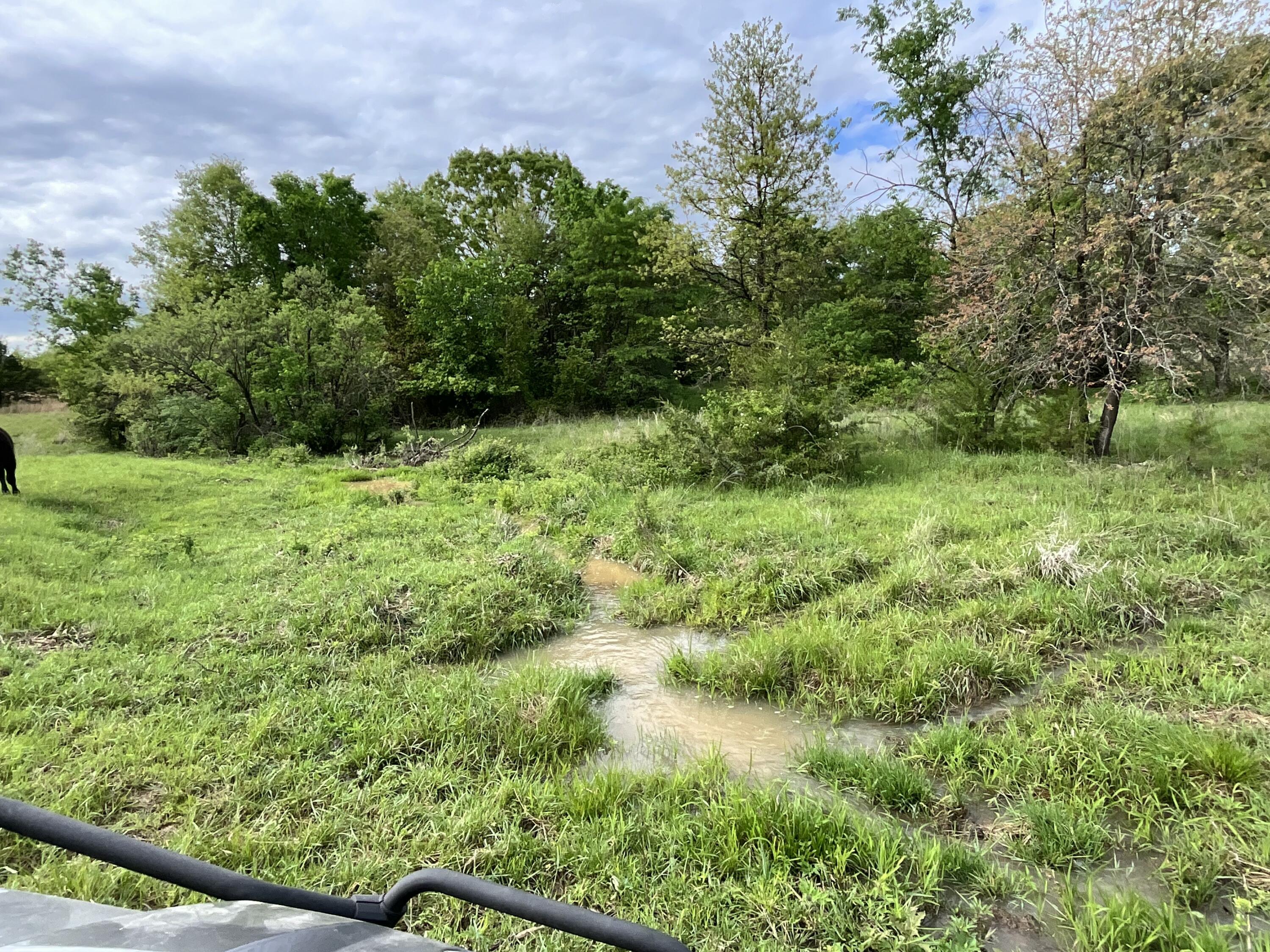 Photo 16 - Land for sale – 000  County Road 6750 Road  West Plains, MO