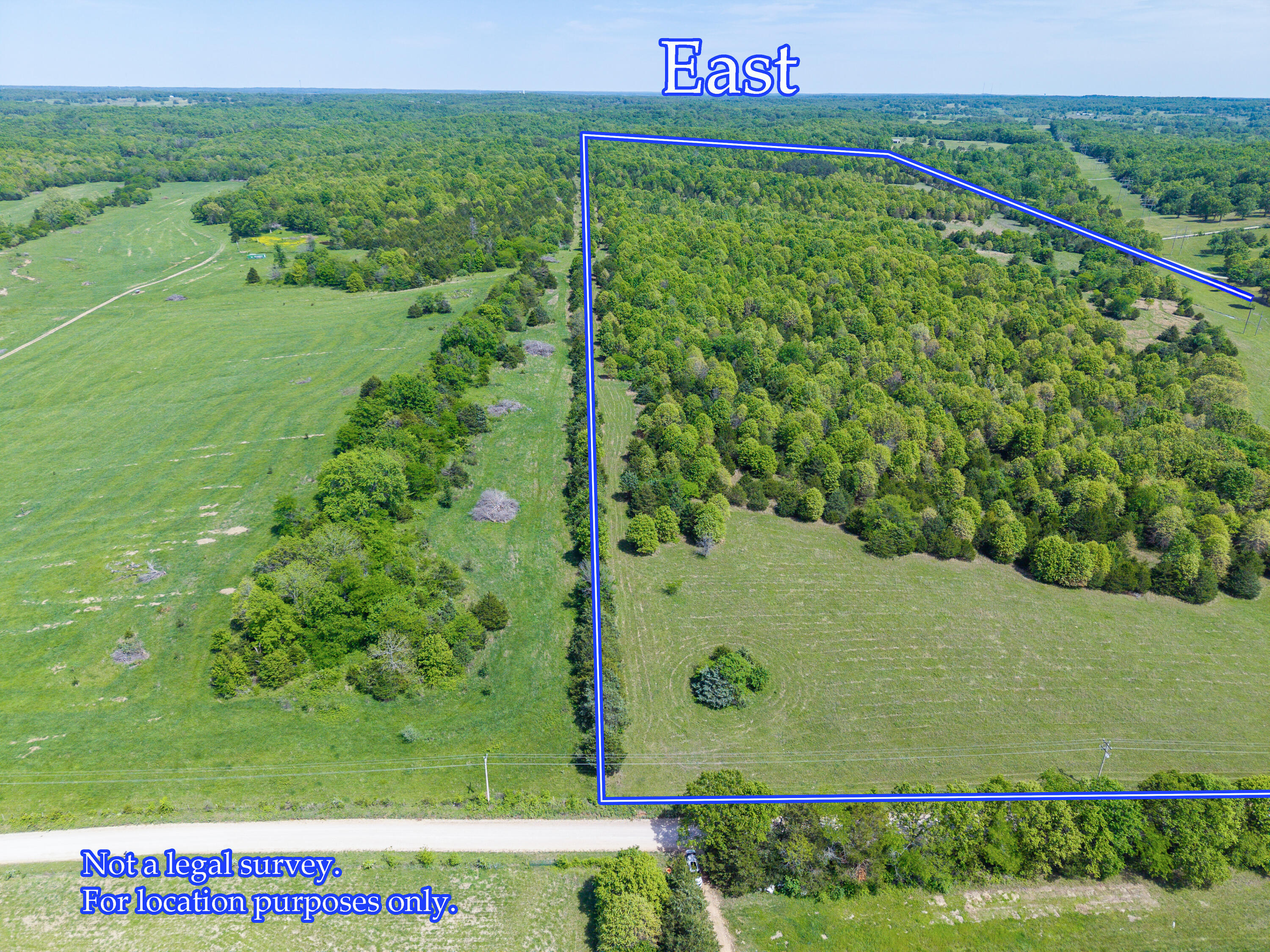 Photo 4 - Land for sale – 000  County Road 6750 Road  West Plains, MO