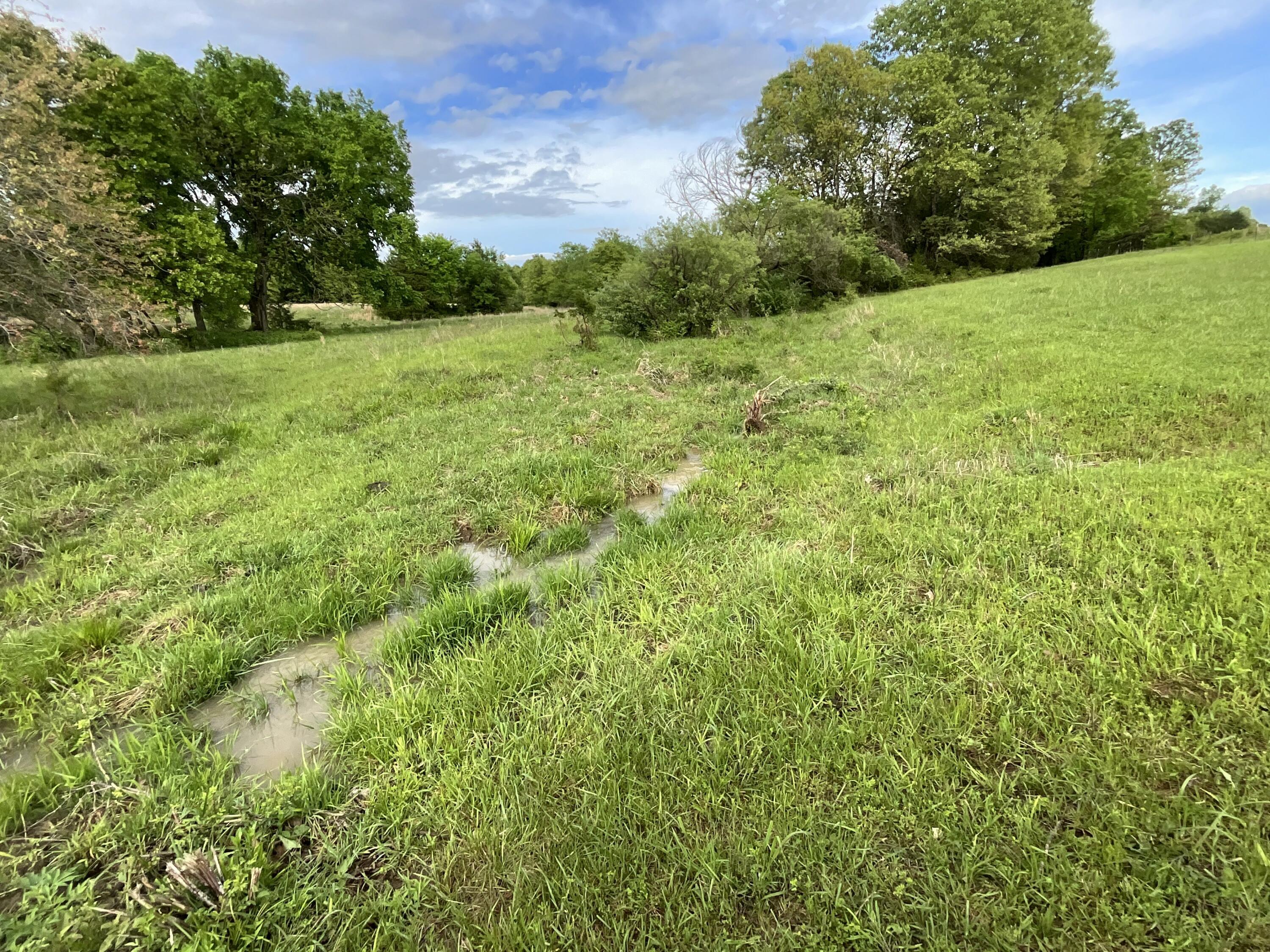 Photo 14 - Land for sale – 000  County Road 6750 Road  West Plains, MO