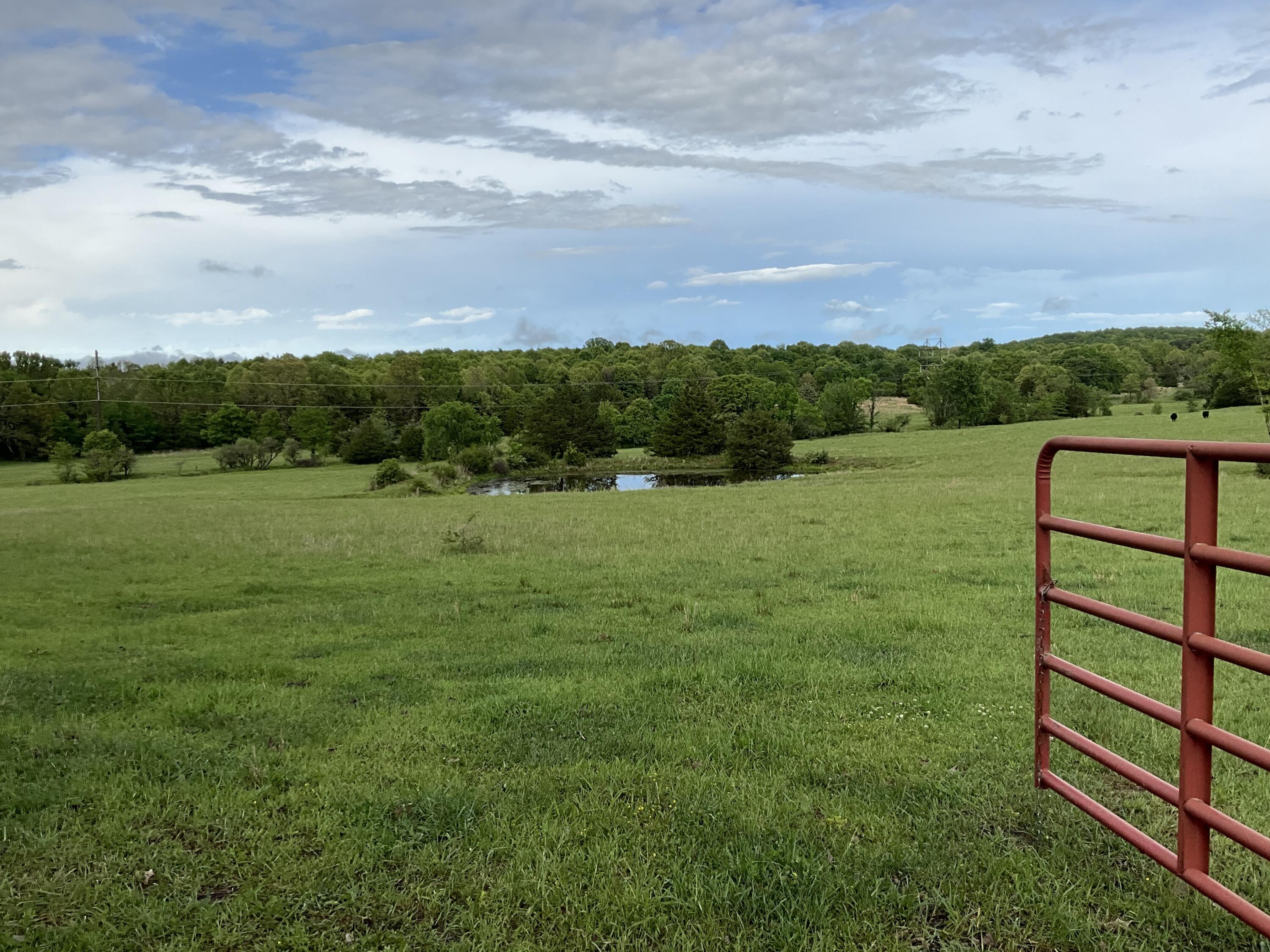 Photo 15 - Land for sale – 000  County Road 6750 Road  West Plains, MO