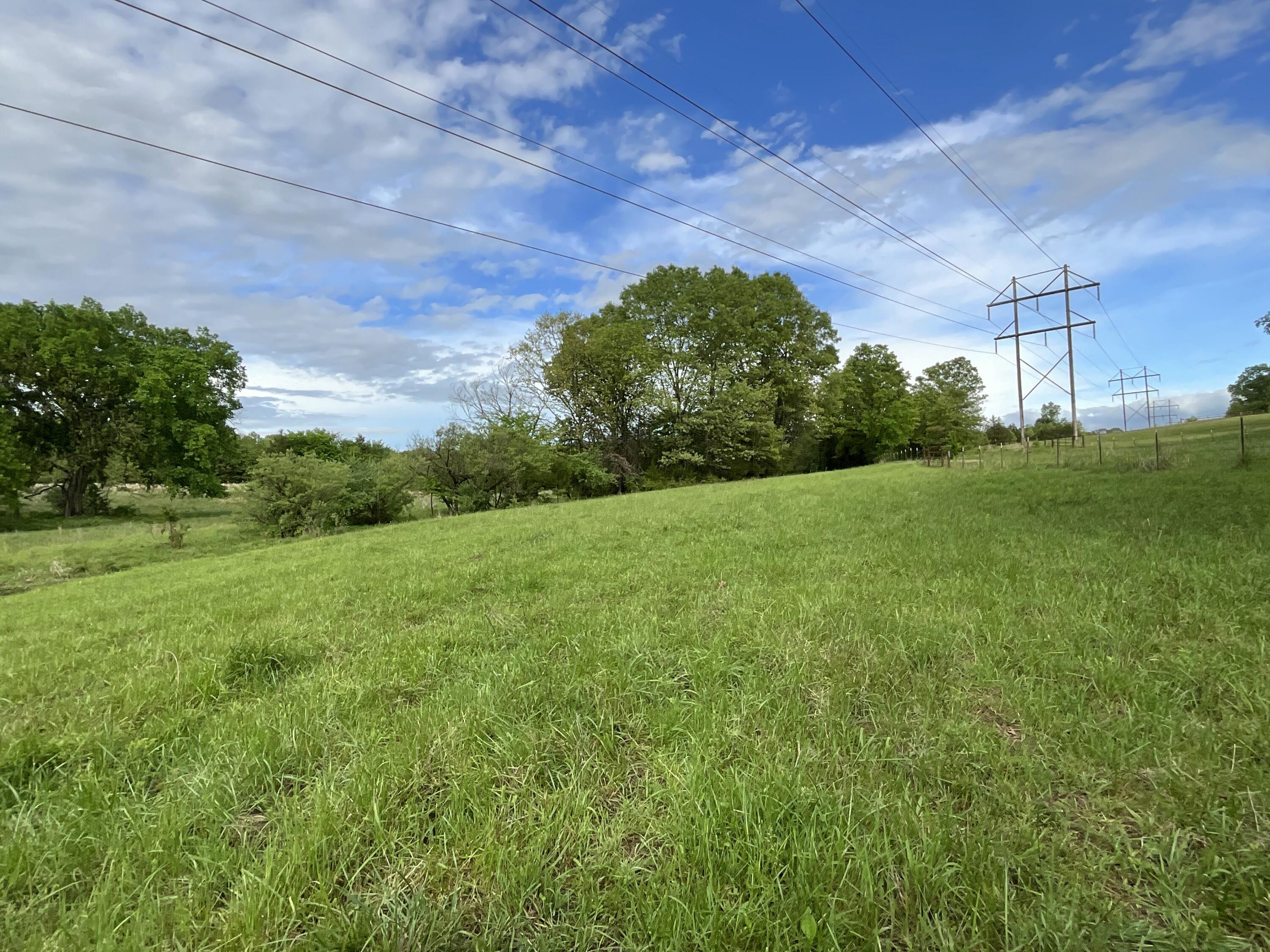 Photo 13 - Land for sale – 000  County Road 6750 Road  West Plains, MO