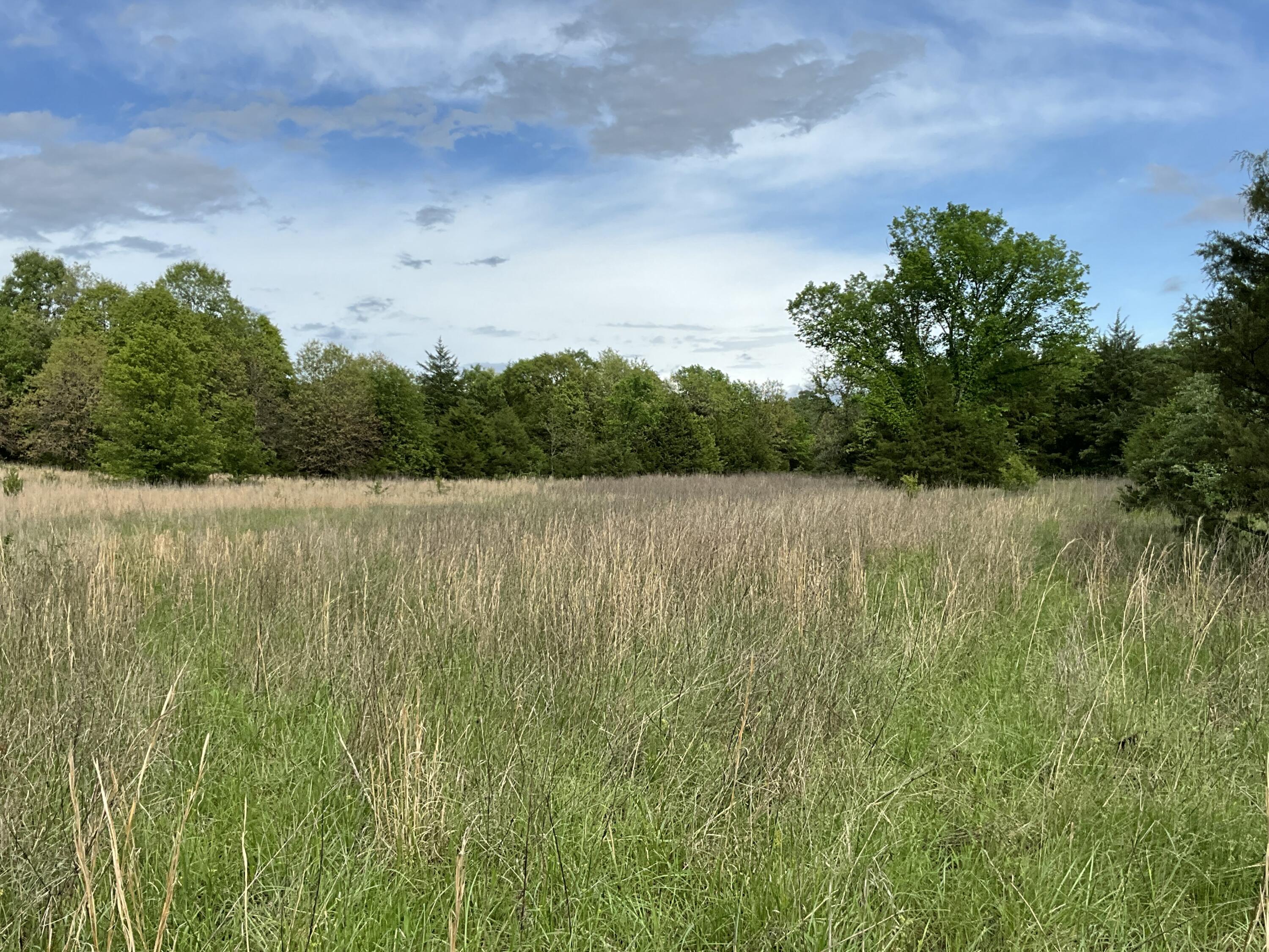 Photo 21 - Land for sale – 000  County Road 6750 Road  West Plains, MO