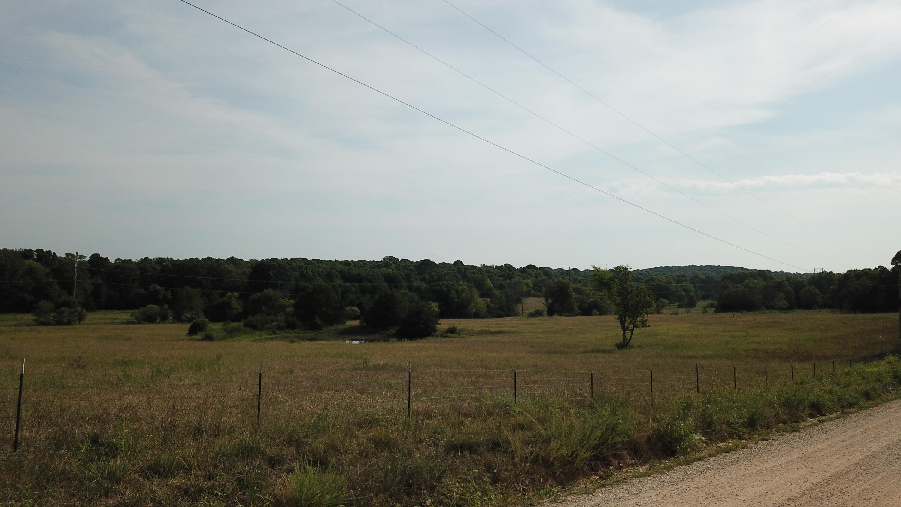 Photo 45 - Land for sale – 000  County Road 6750 Road  West Plains, MO